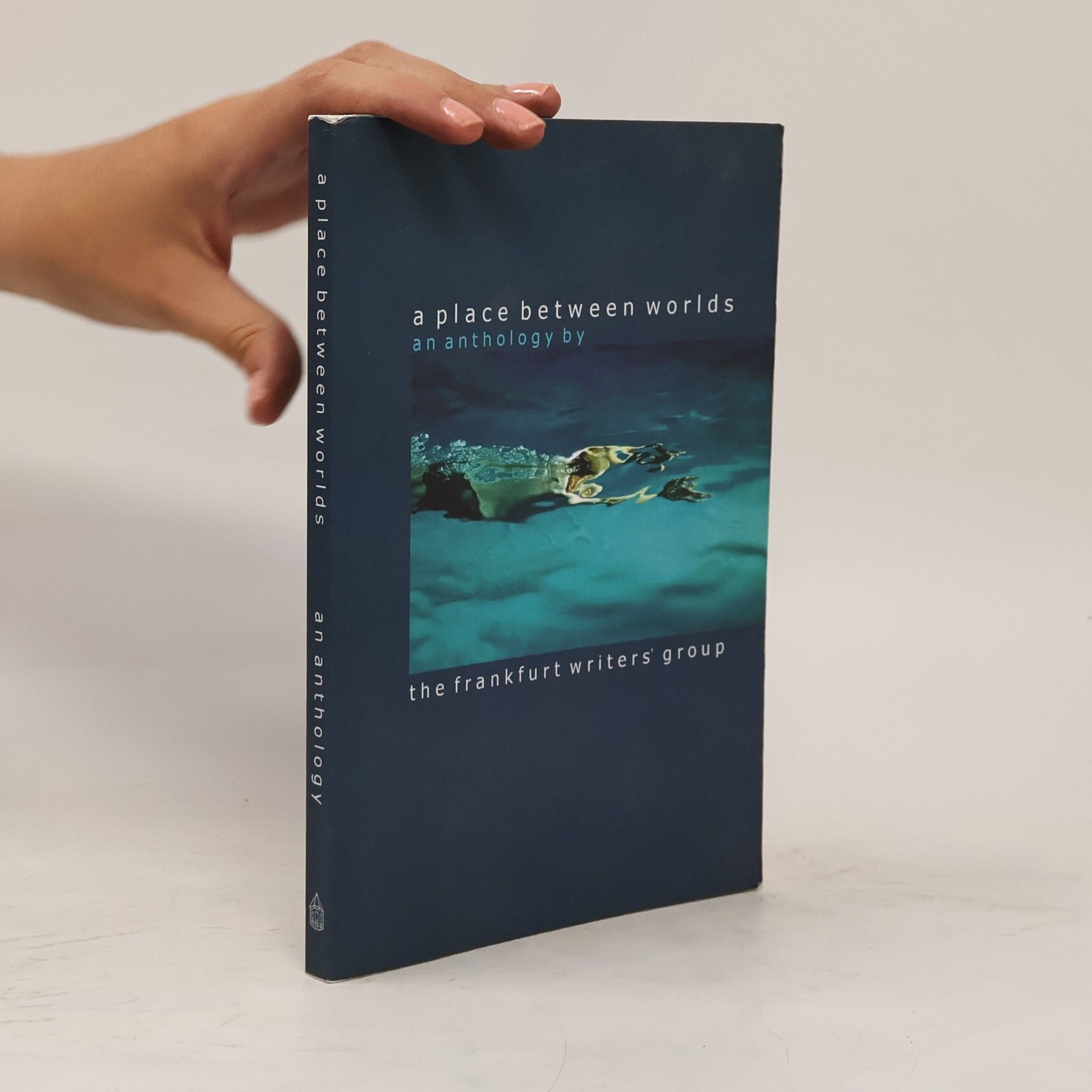 Auteurscollectief A place between worlds