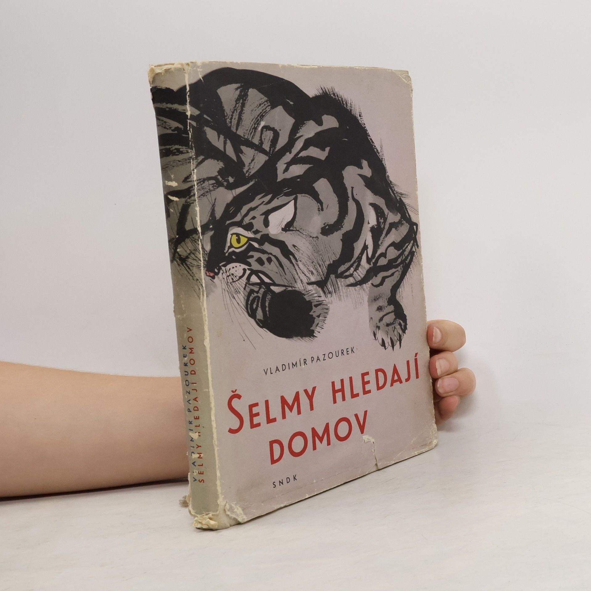 Vladimír Pazourek Šelmy hledají domov