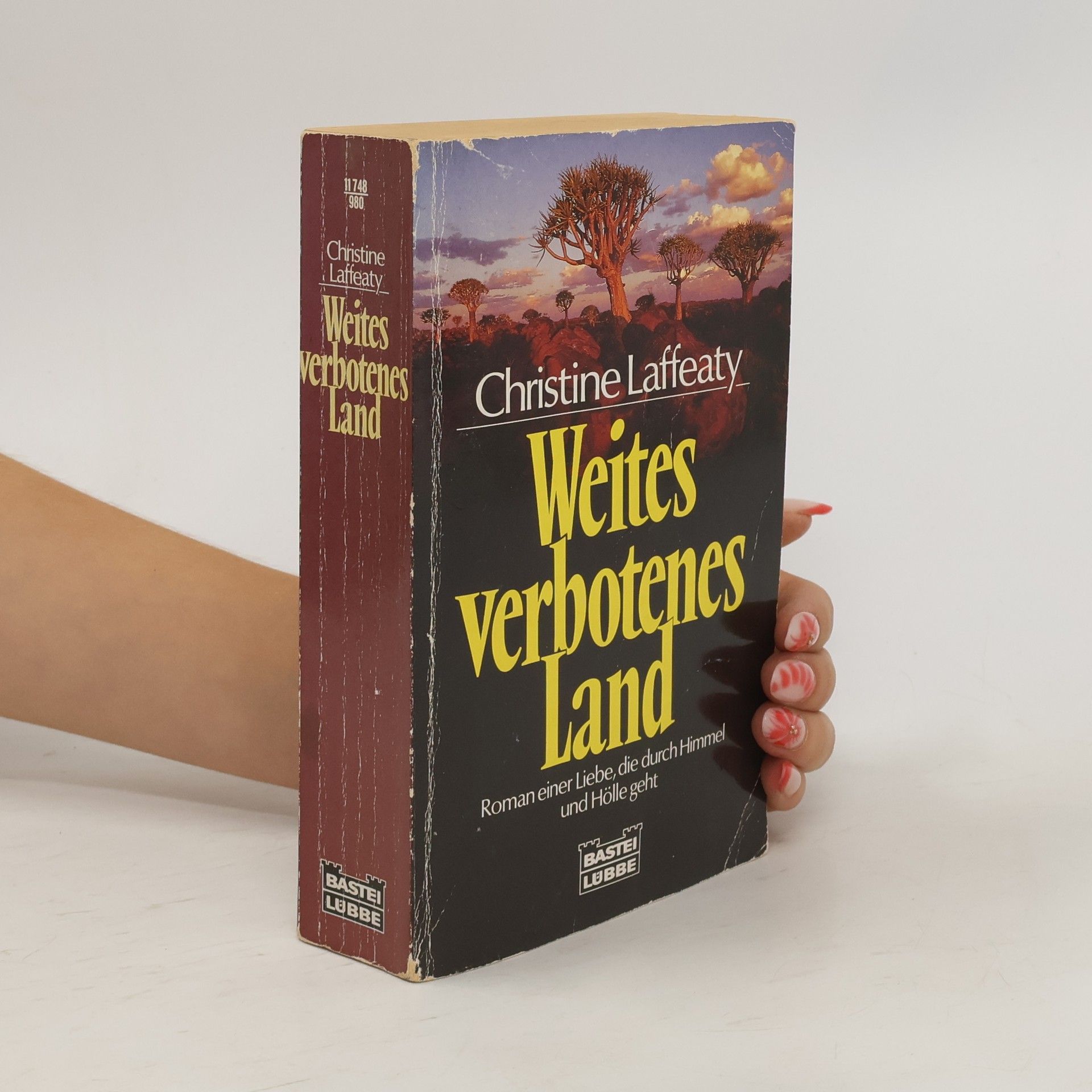 Christine Laffeaty Weites verbotenes Land