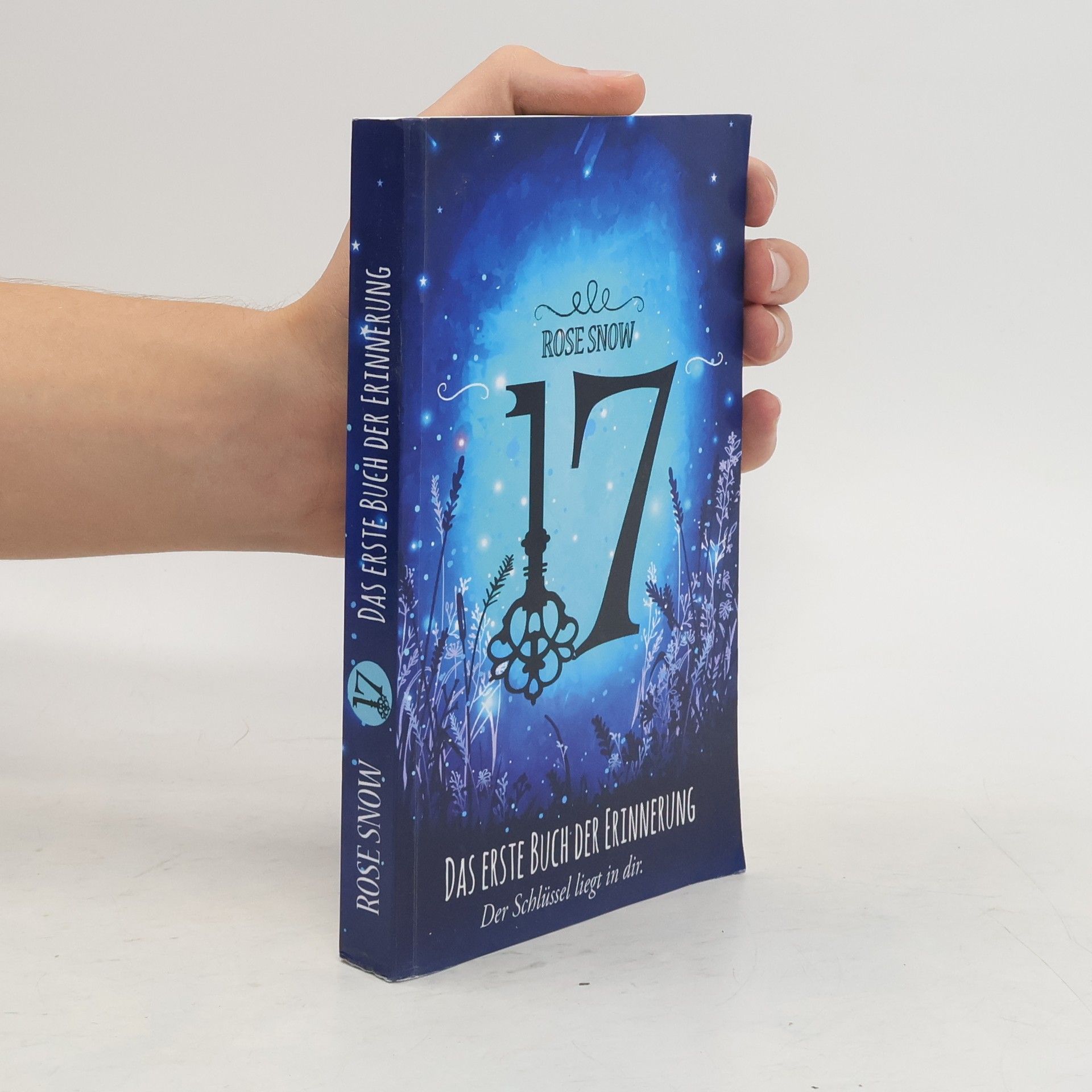 Rosie Snow 17 - das Erste Buch der Erinnerung