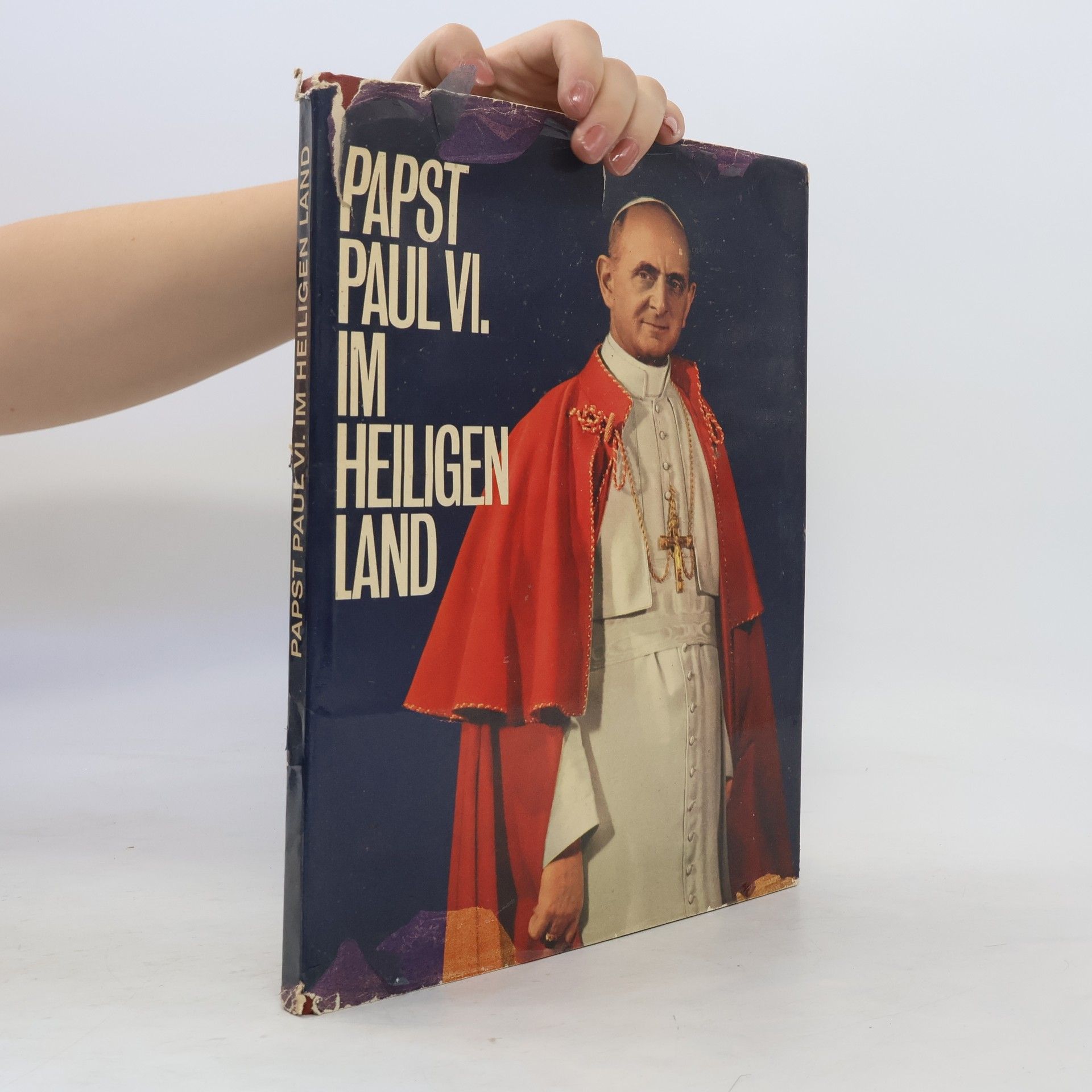 Autorenkollektiv Papst Paul VI. Im heiligen land