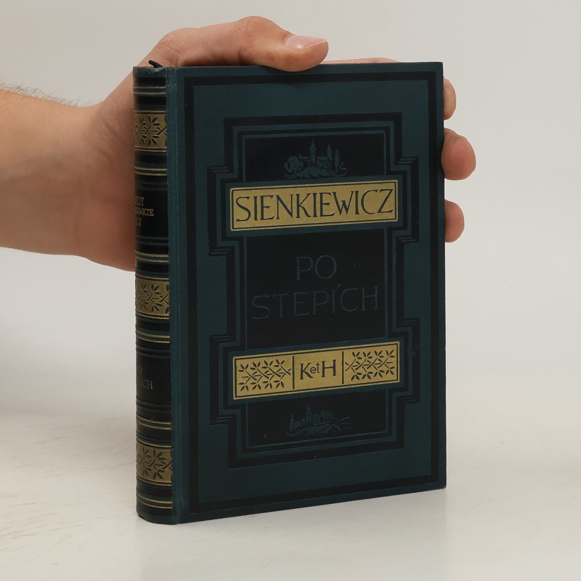 Henryk Sienkiewicz Po stepích a jiné črty