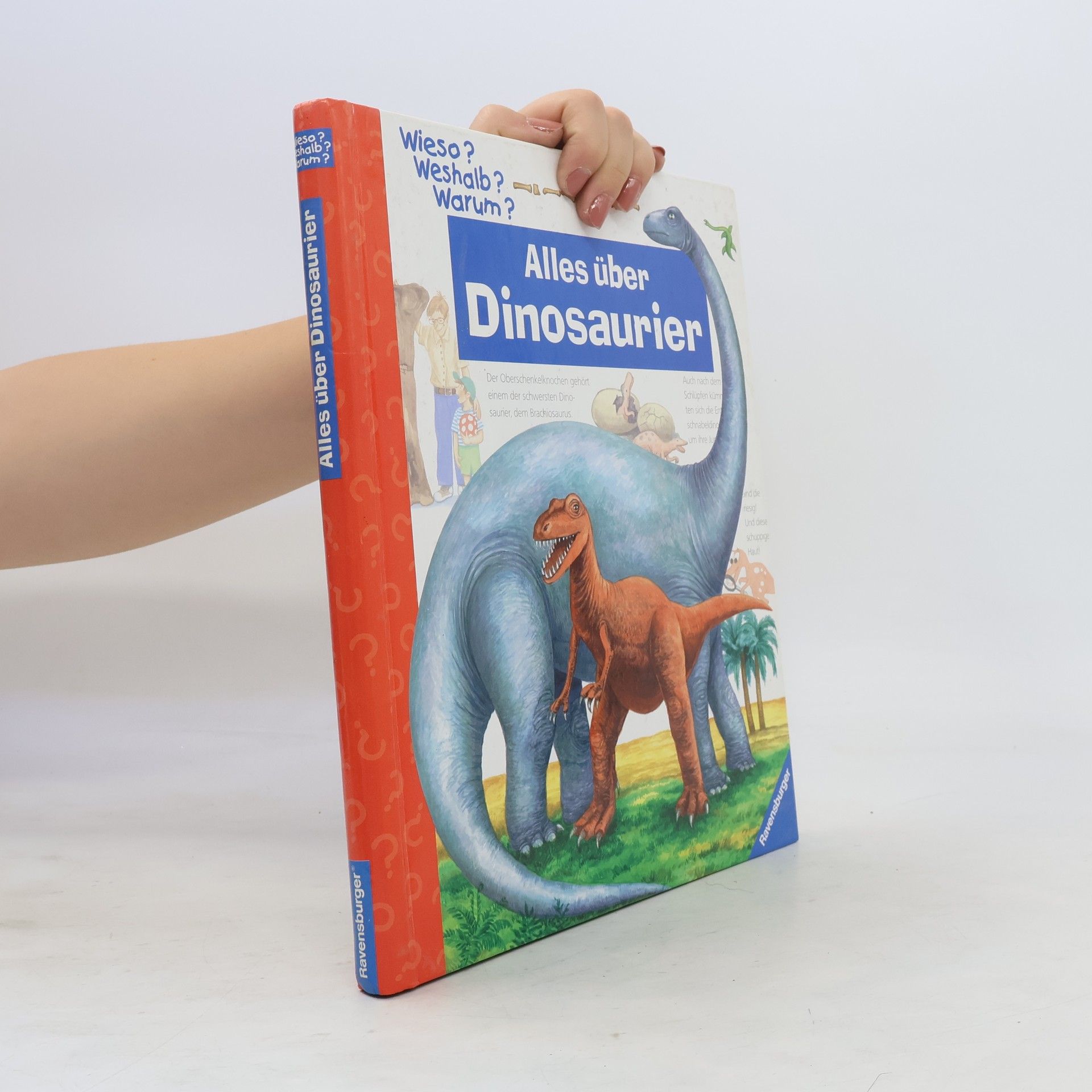 Patricia Mennen Alles über Dinosaurier