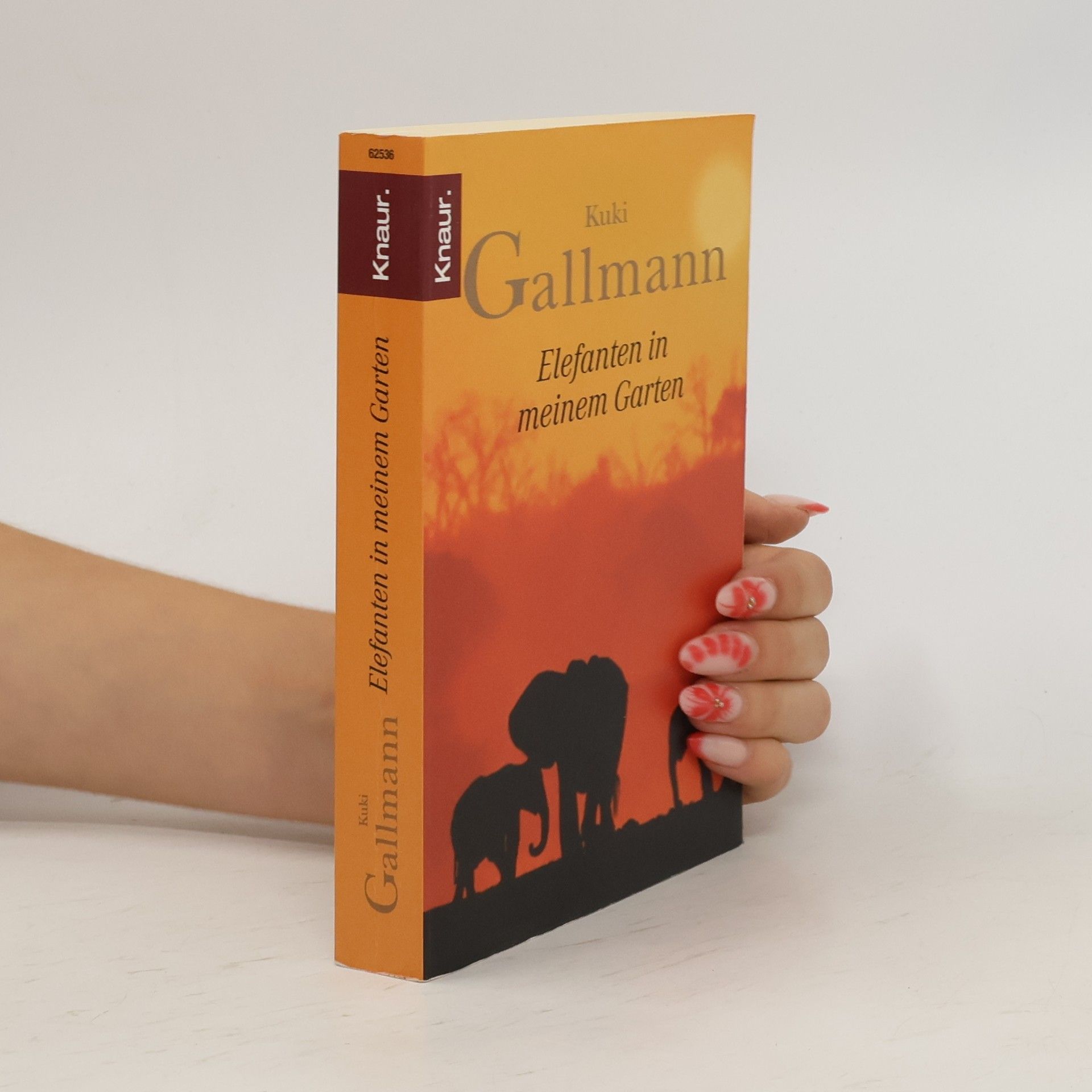 Kuki Gallmann Elefanten in meinem Garten