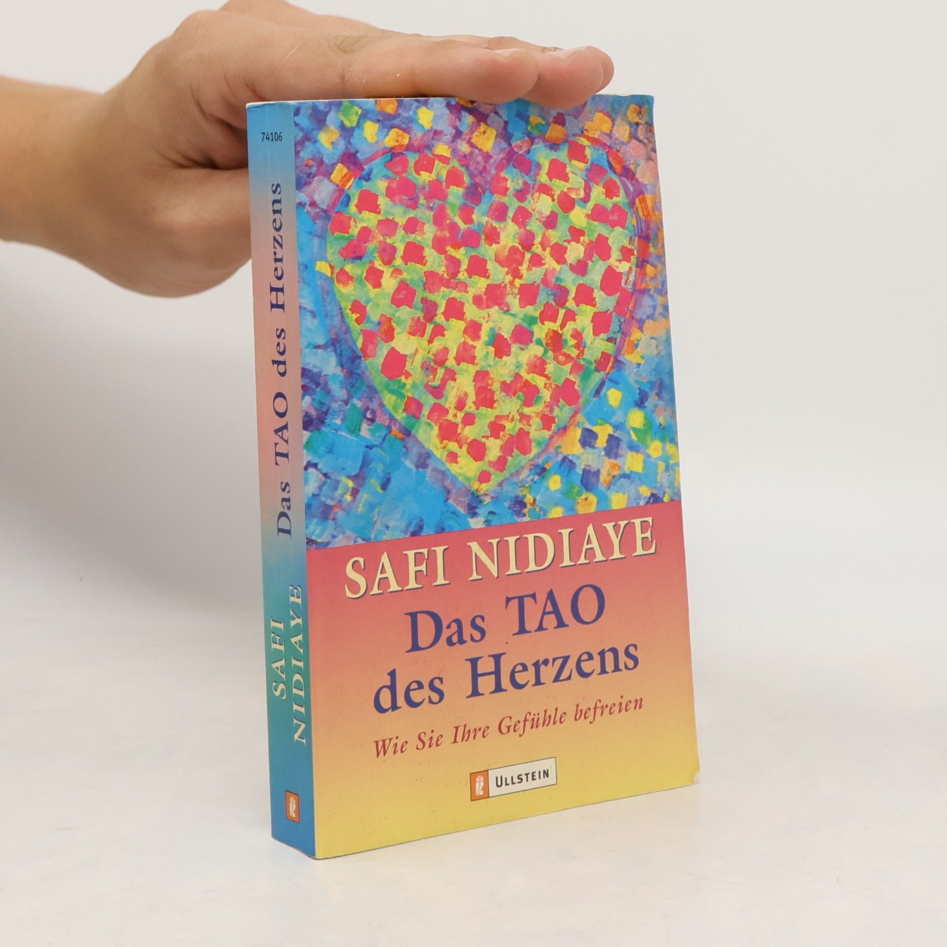 Safi Nidiaye Das Tao des Herzens