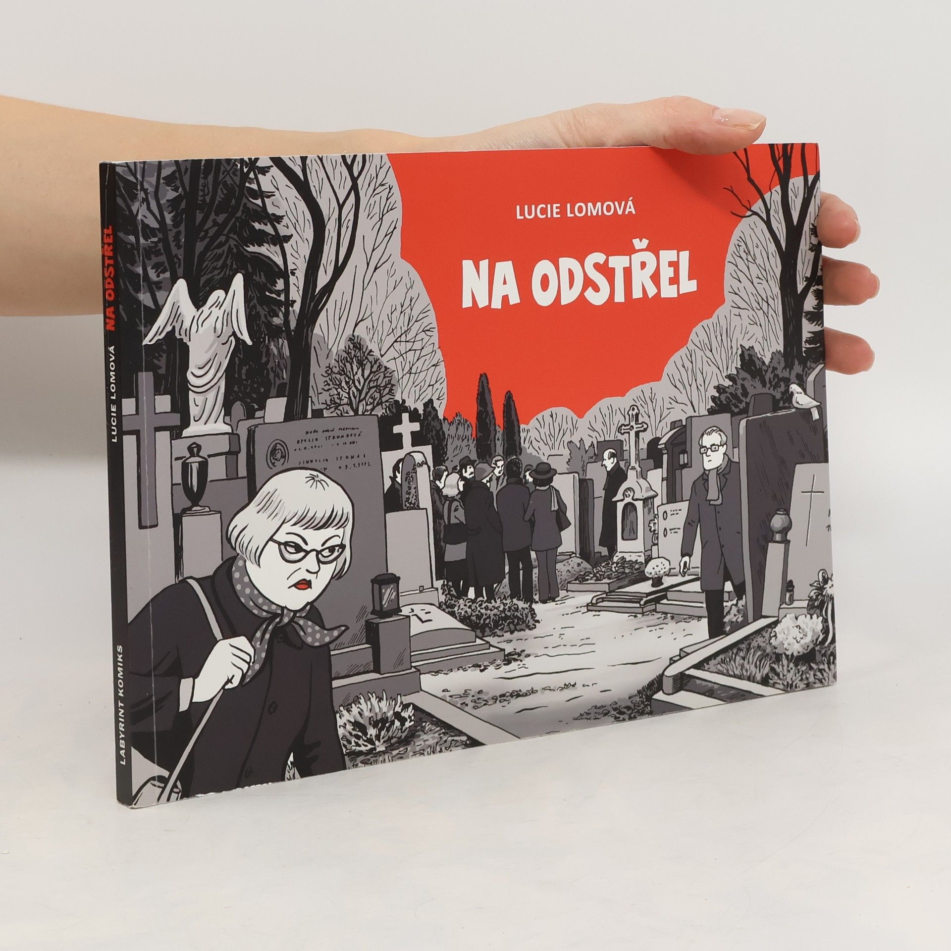 Lucie Lomová Na odstřel: Komiksová detektivka