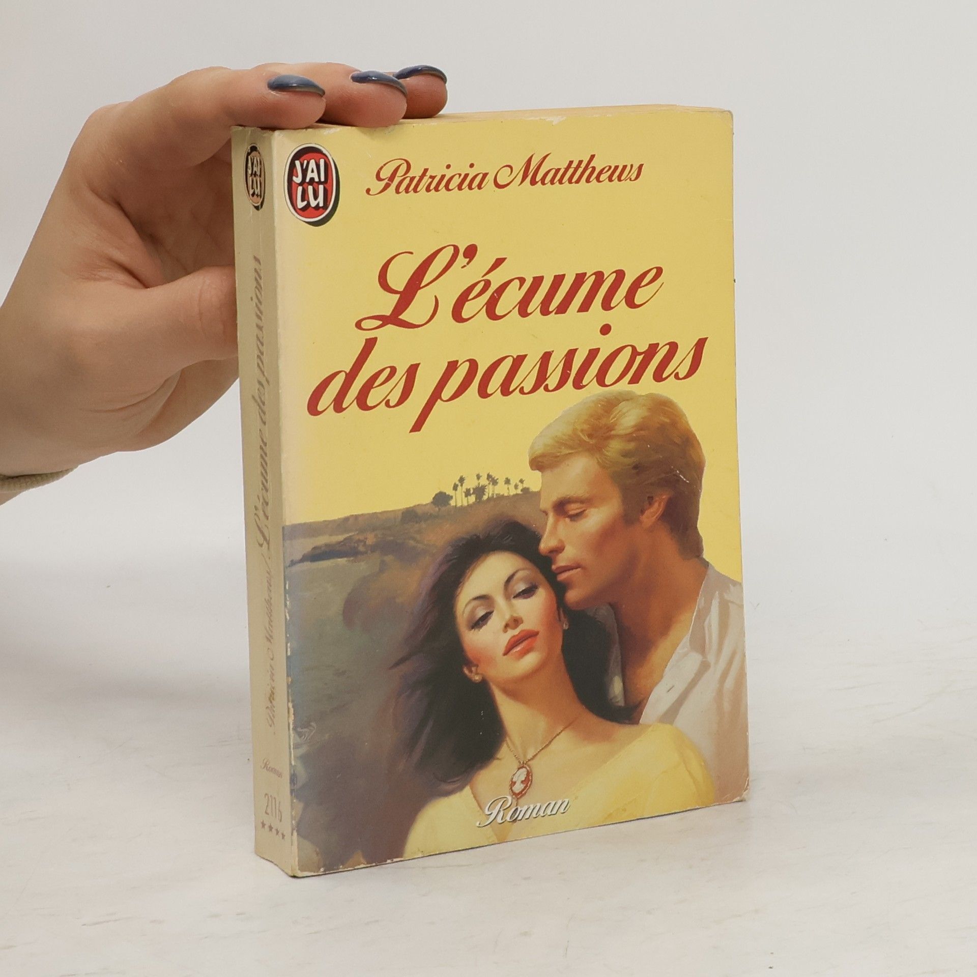 Patricia Matthews L'écume des passions