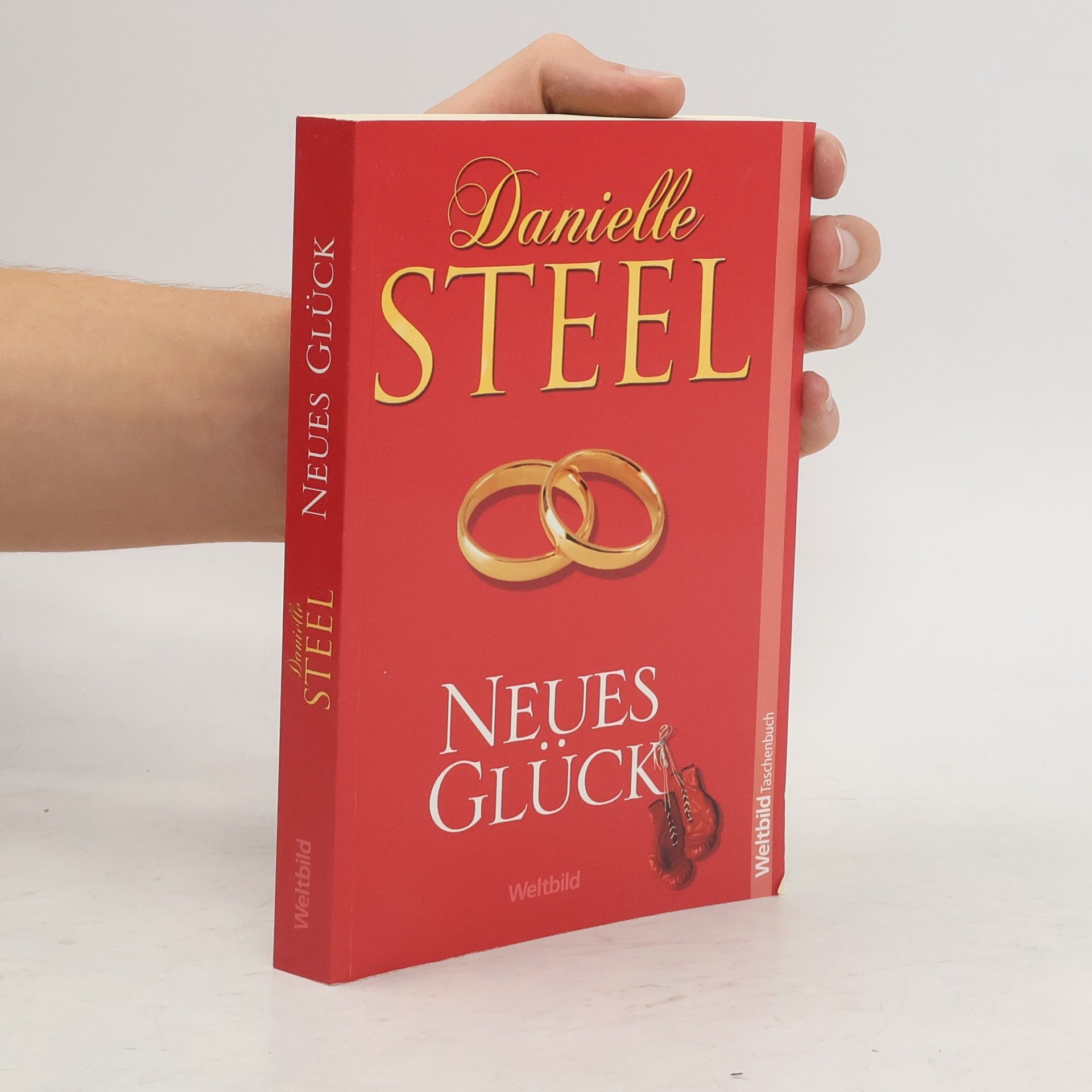 Danielle Steel Neues Glück