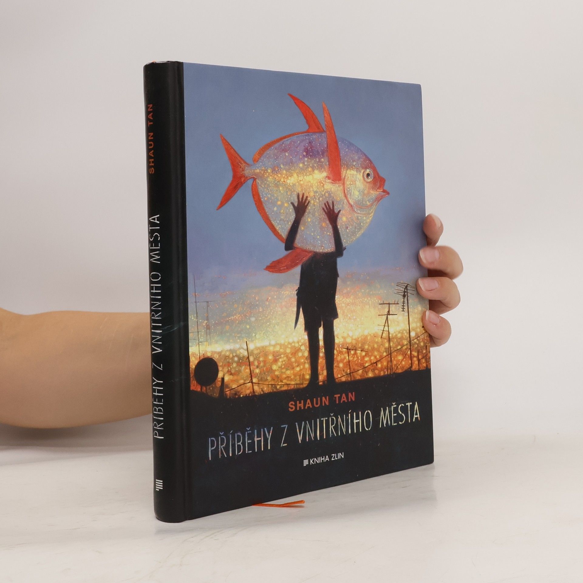 Shaun Tan Příběhy z vnitřního města