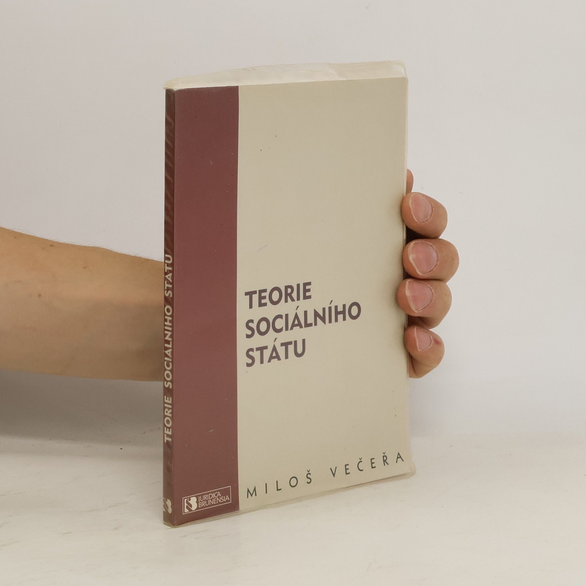 Miloš Večeřa Teorie sociálního státu