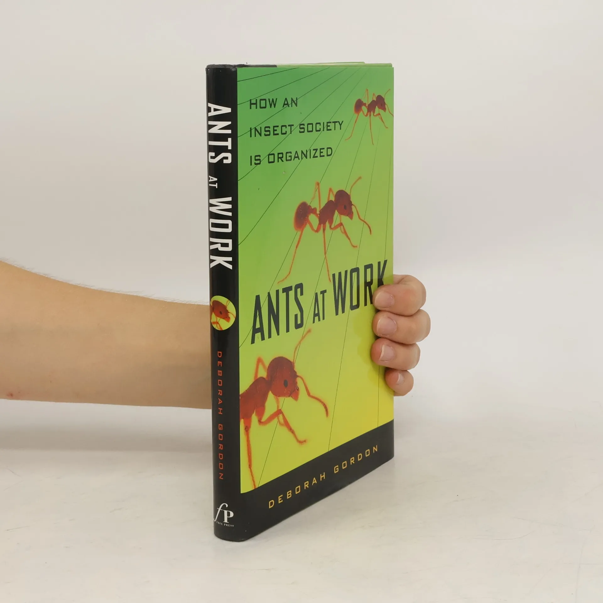 Ants At Work | Deborah M. Gordon | English | Book