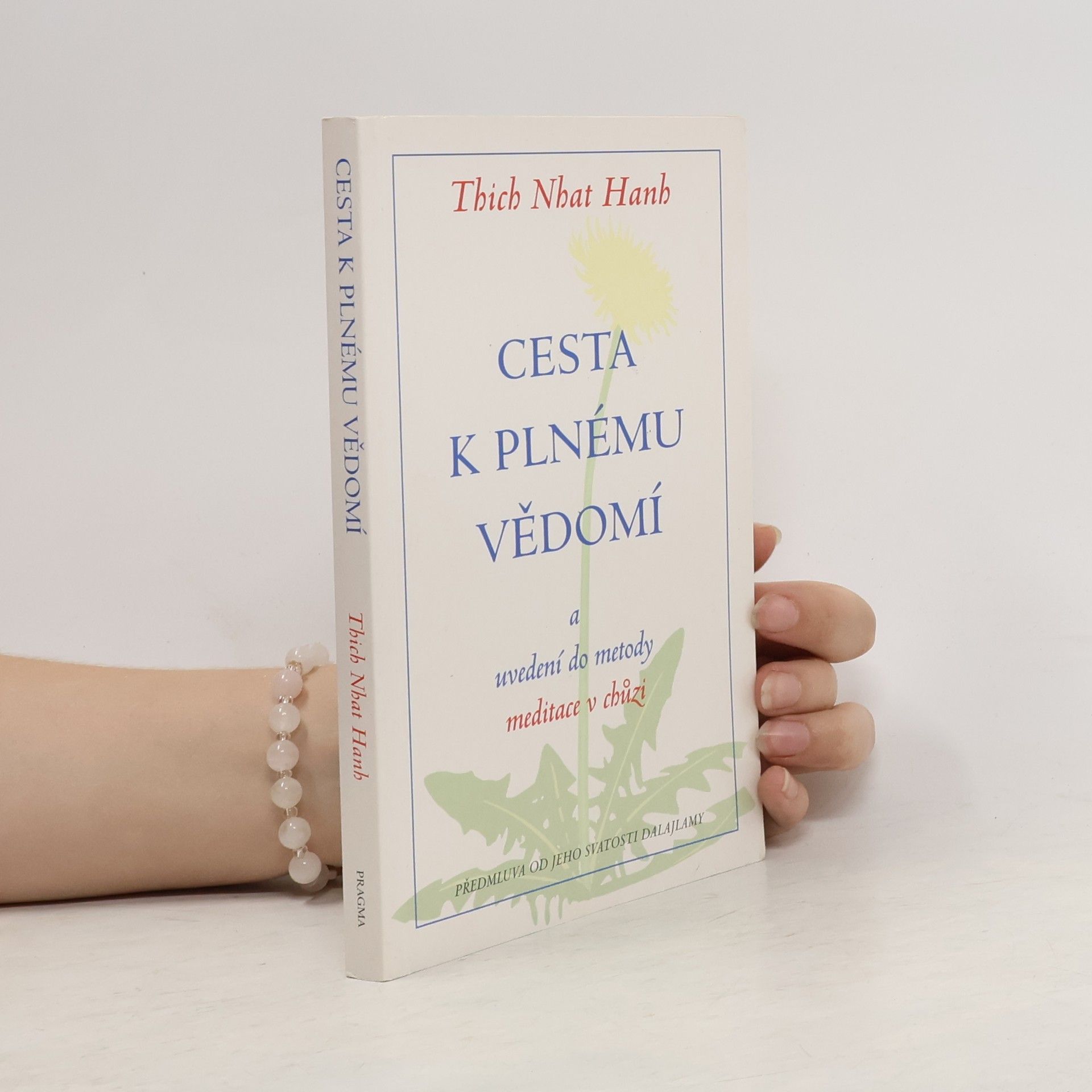 Otto Jeřábek Cesta k plnému vědomí a uvedení do metody meditace v chůzi