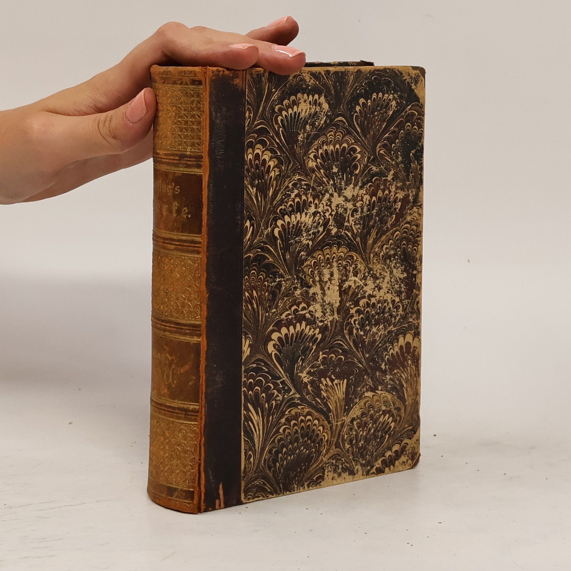 Gotthold Ephraim Lessing Lessings Werke 10.