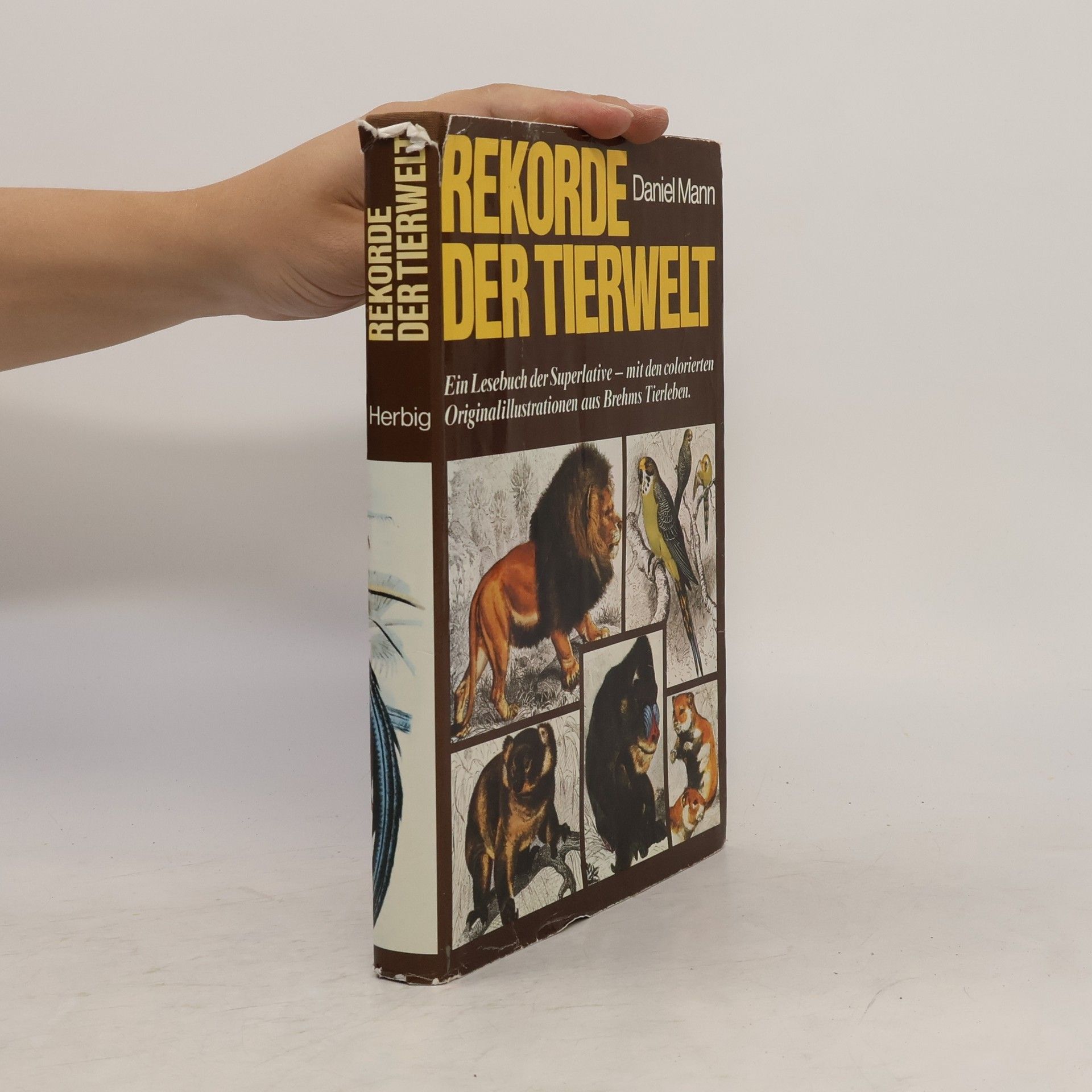 Daniel Mann Rekorde der Tierwelt