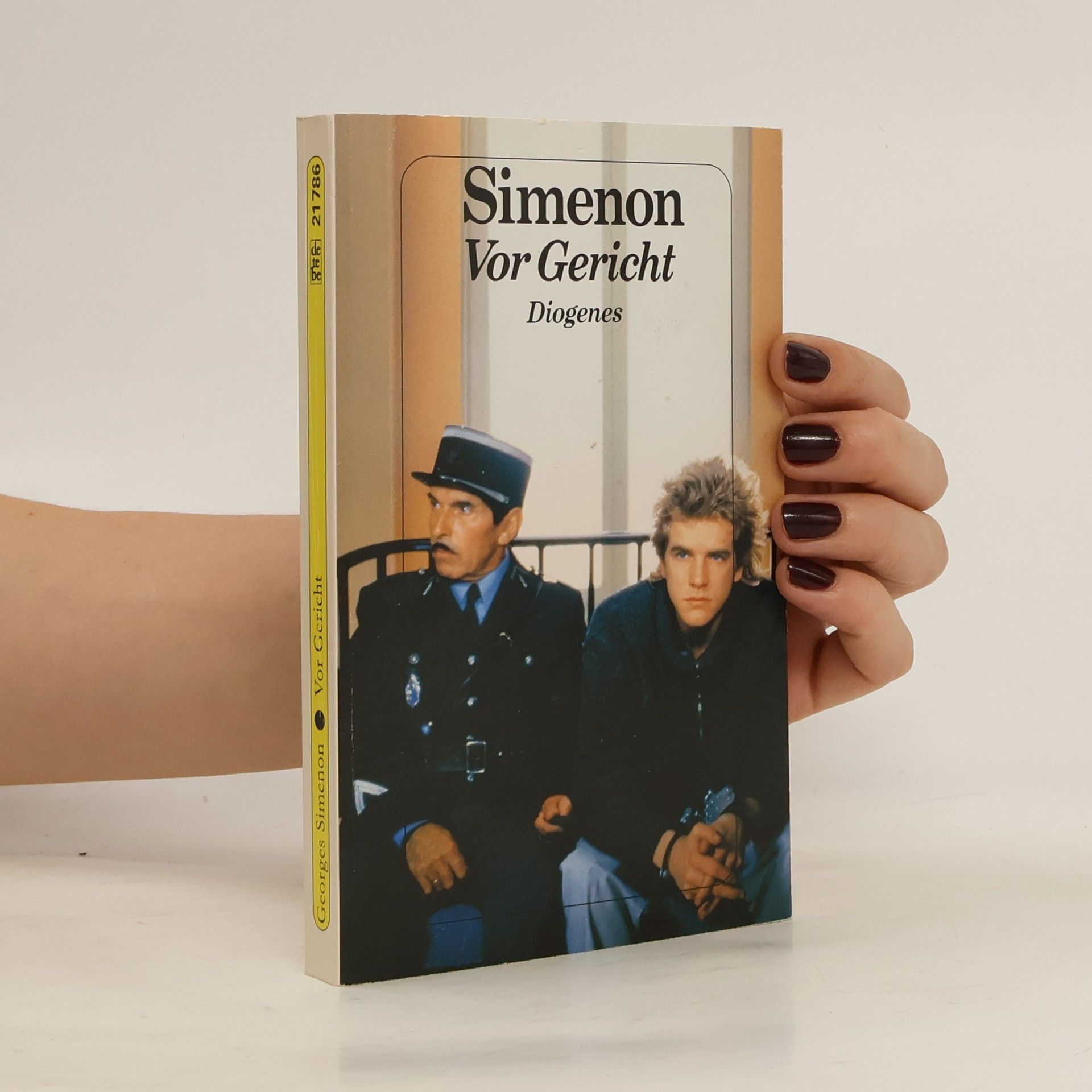 Georges Simenon Vor Gericht. Roman