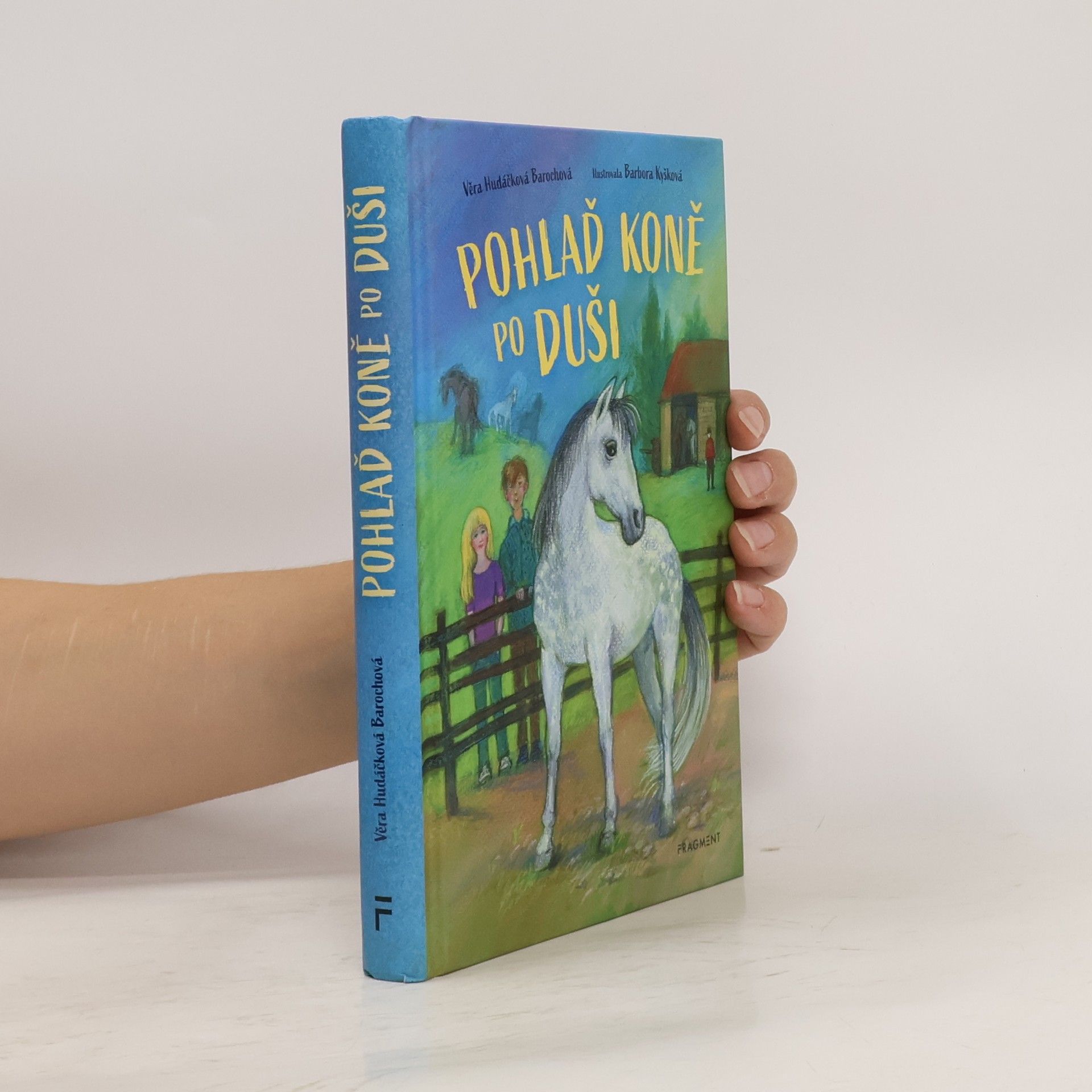 Pohlaď koně po duši