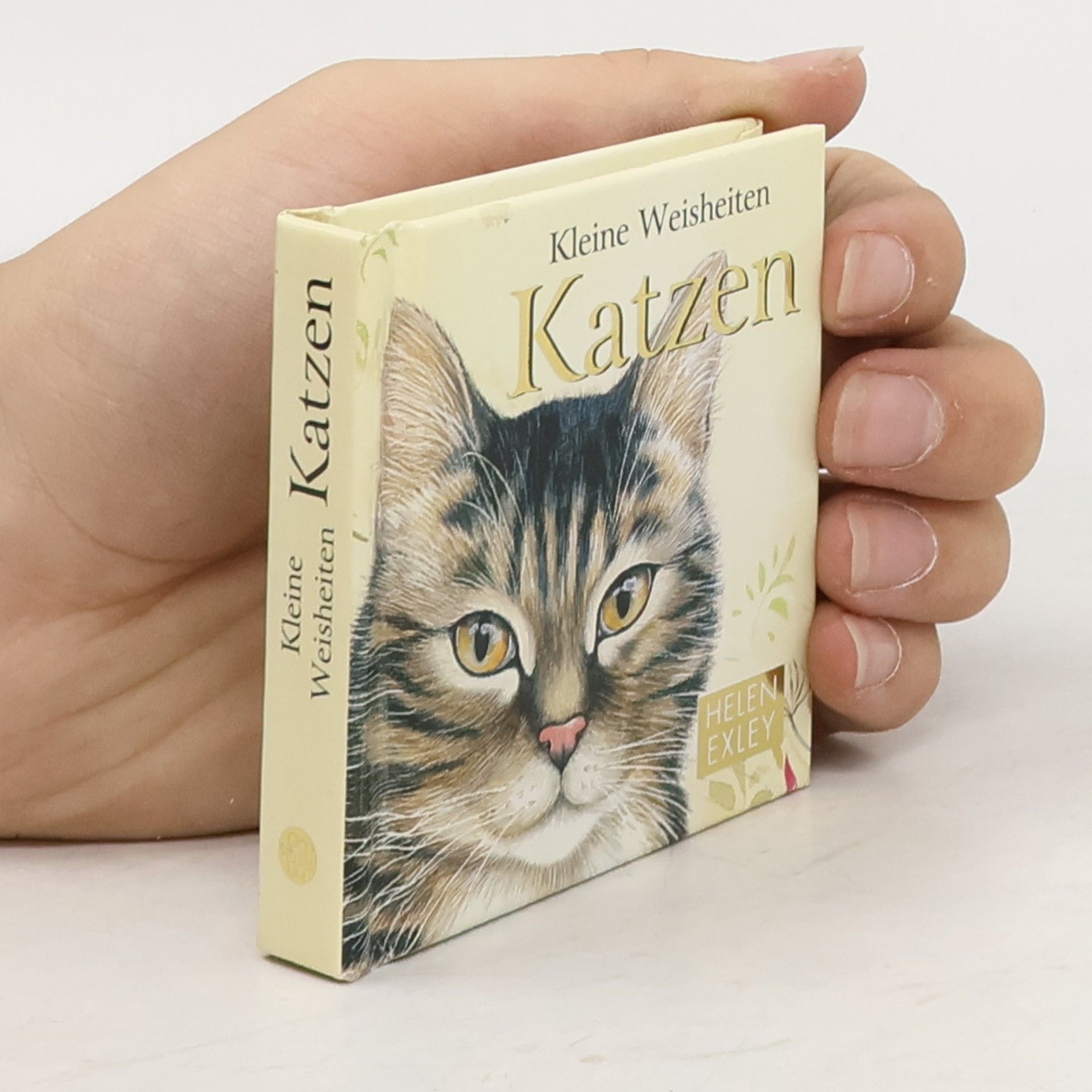 Collective Ein kleines Buch über Katzen