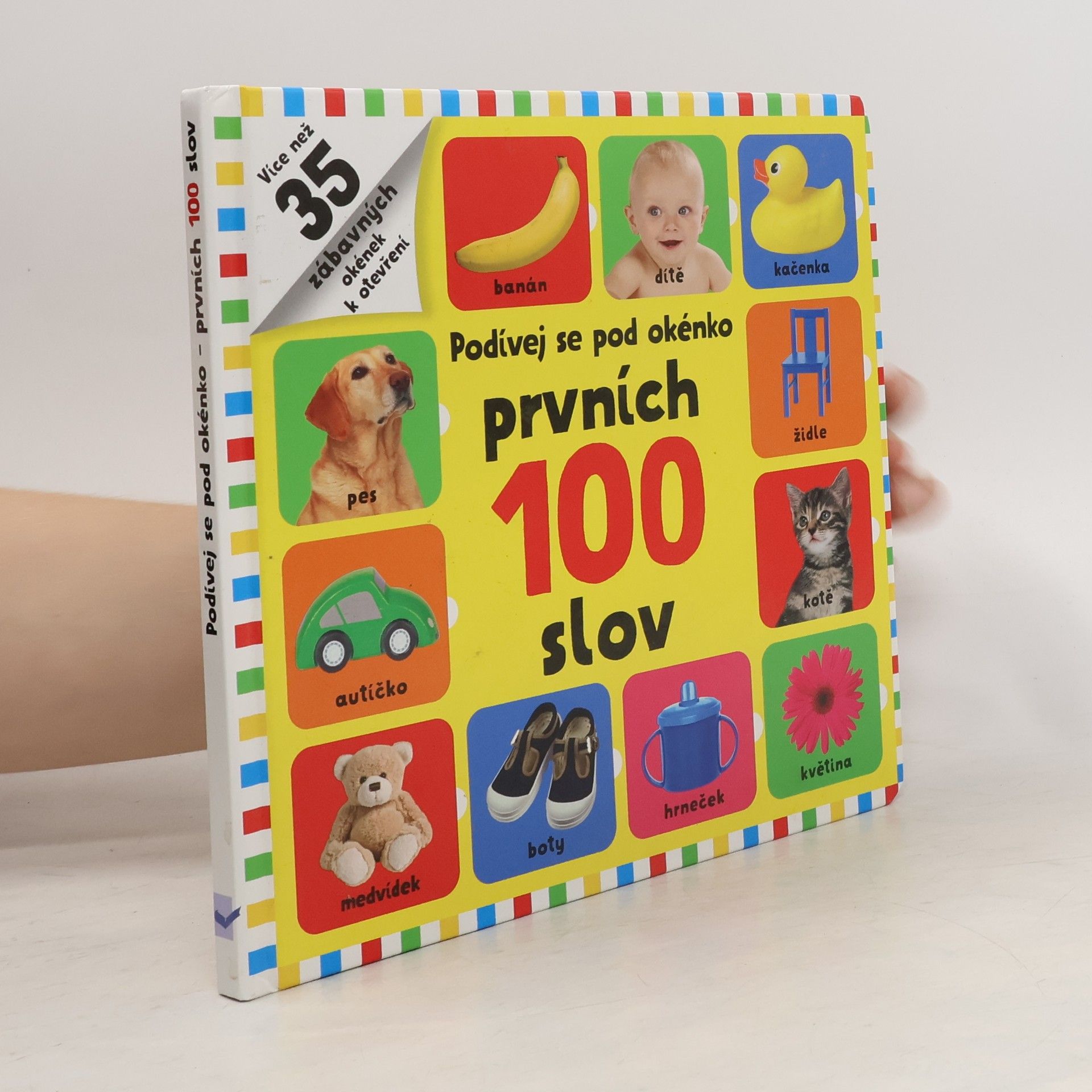 Kolektiv autorů Prvních 100 slov