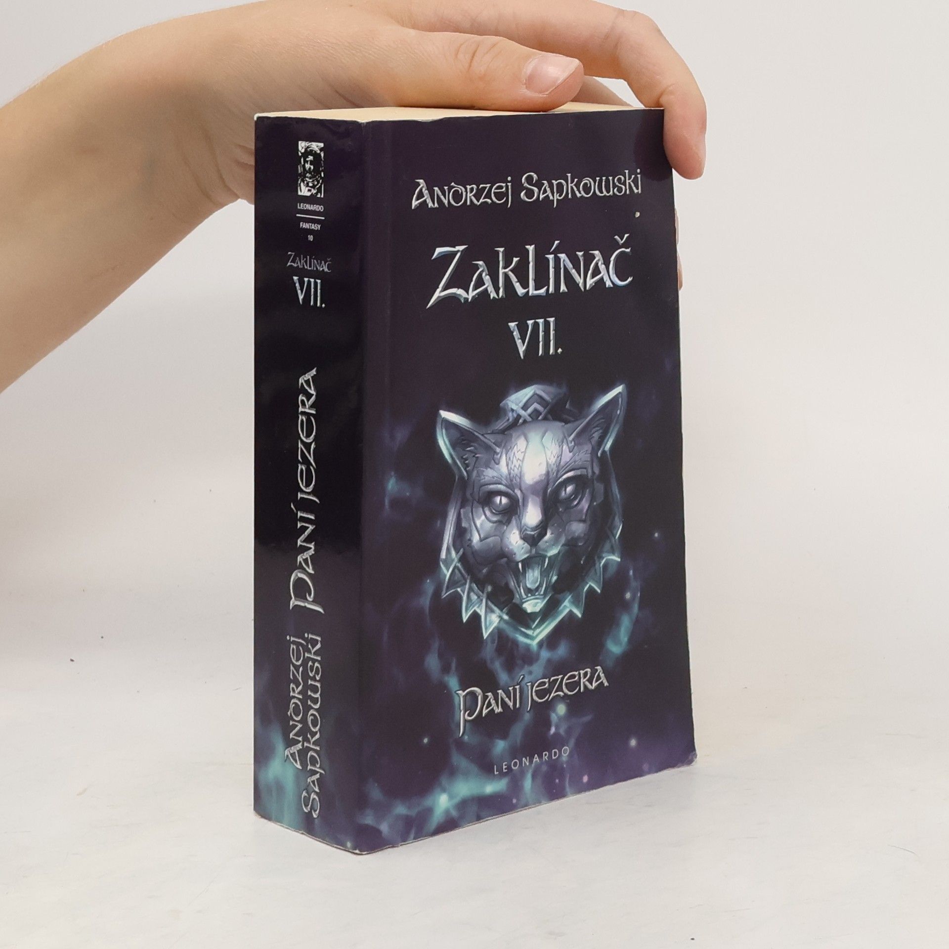Andrzej Sapkowski Paní jezera