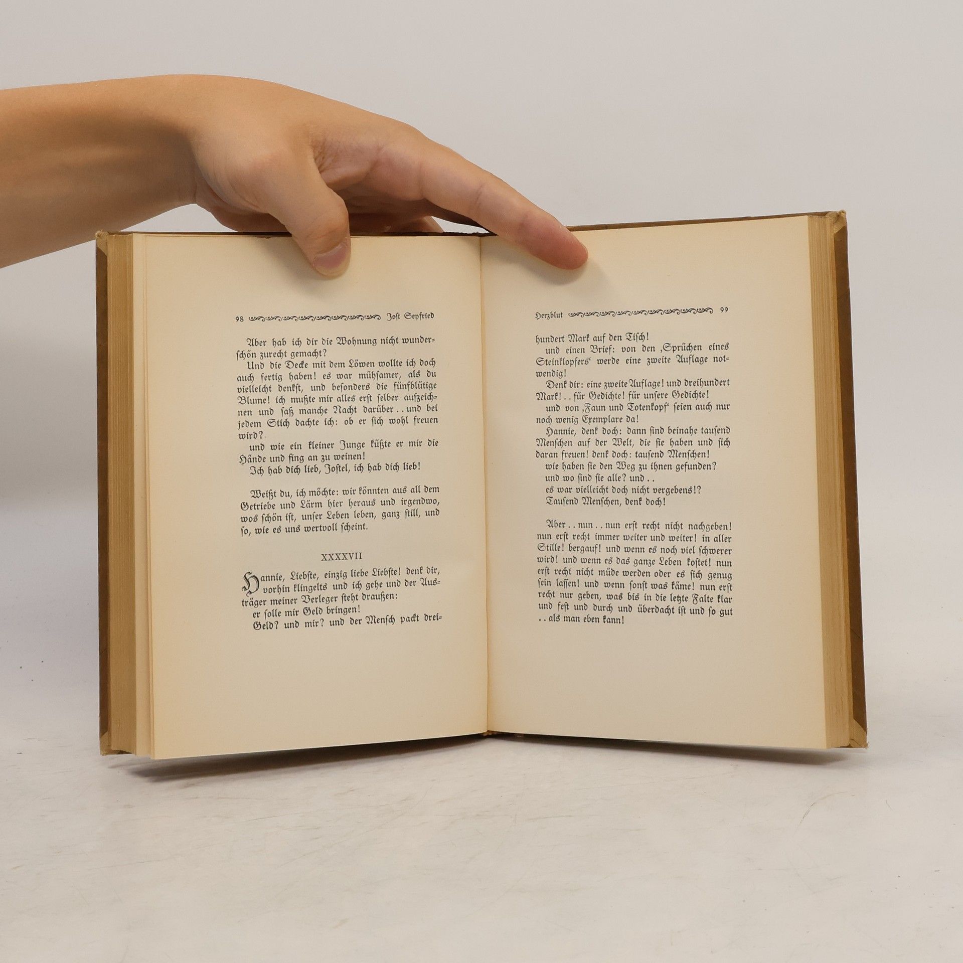 kolektiv Jost Senfried. Drittes Buch. Lieder eines Schwertschmieds