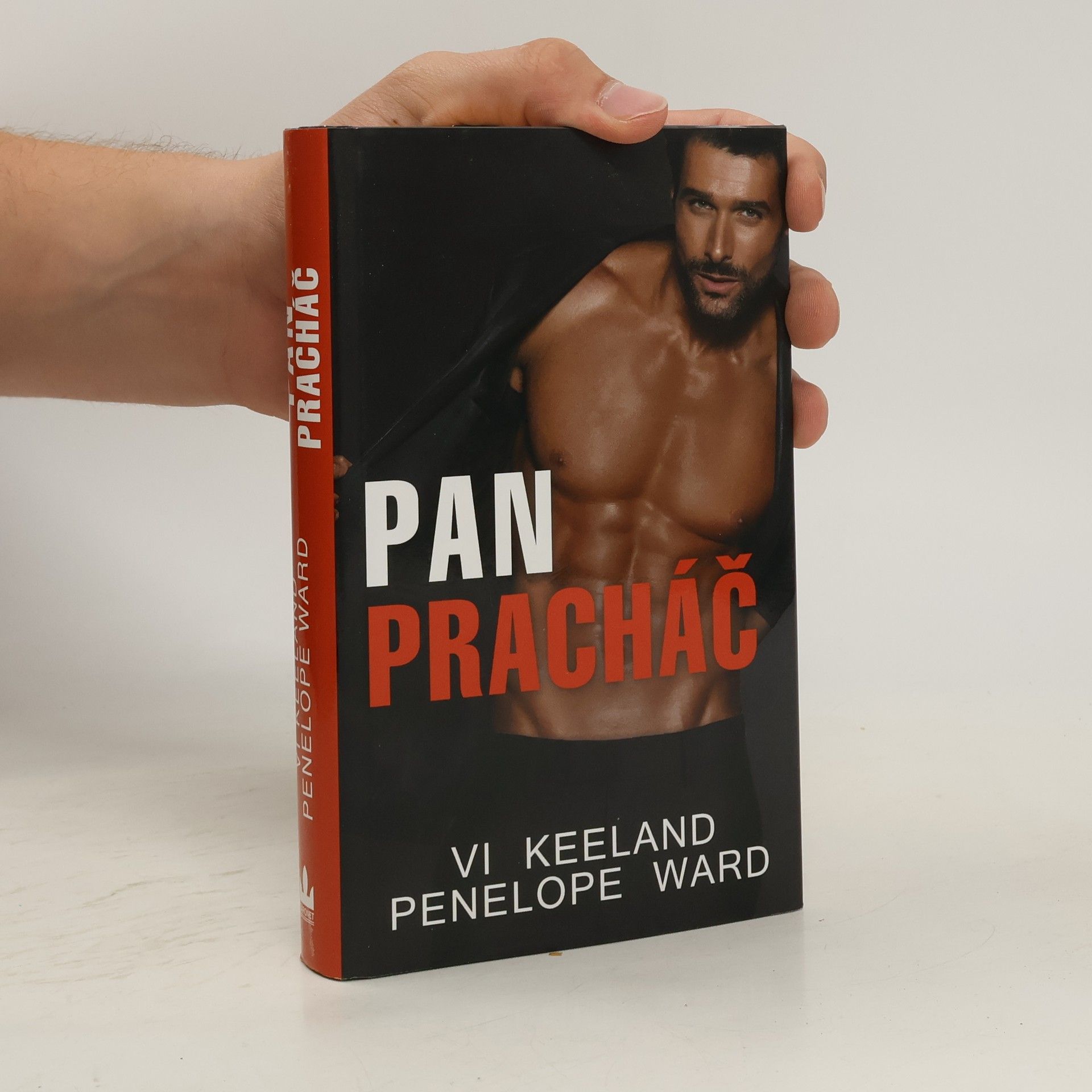 Vi Keeland Pan Pracháč