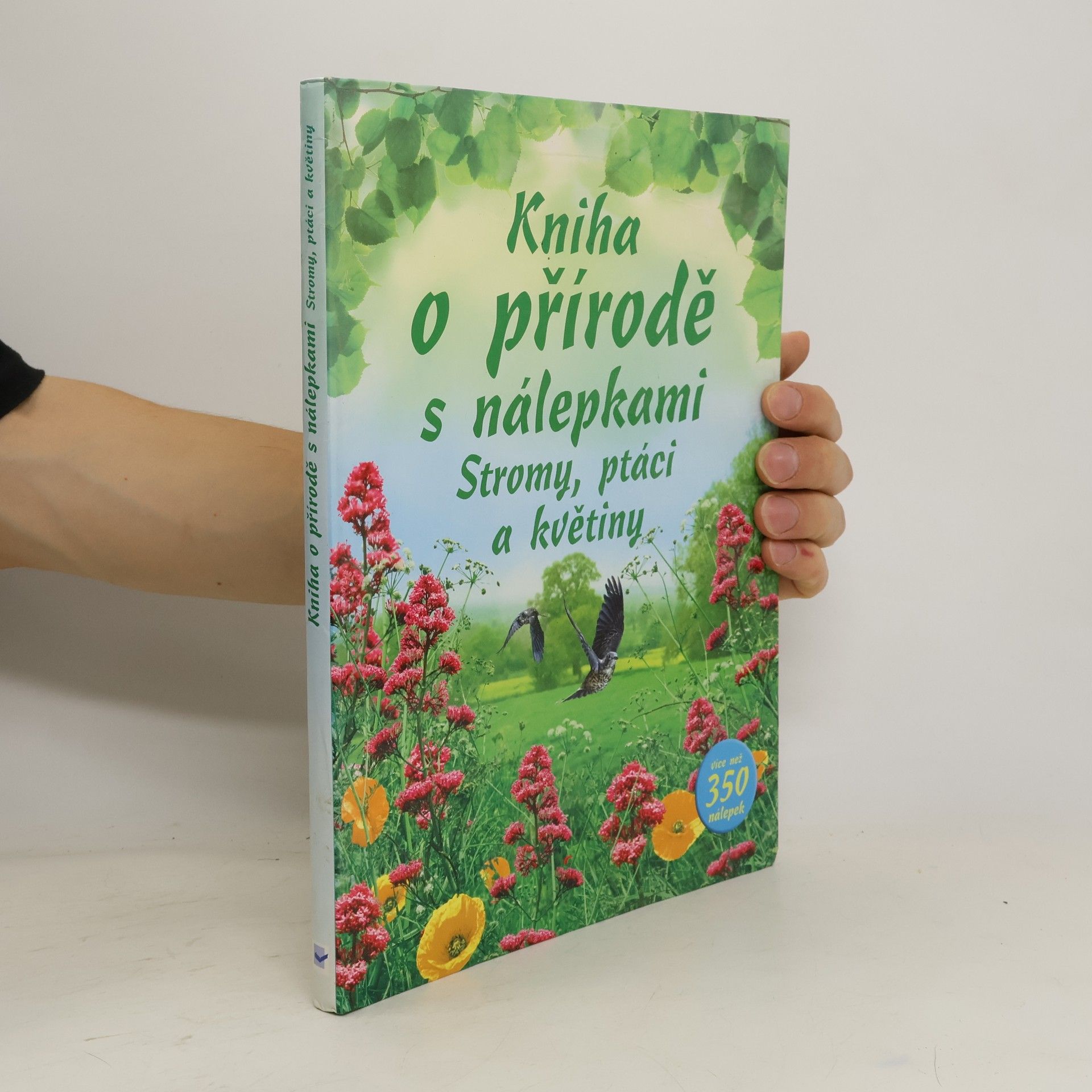 Jane Chisholm Kniha o přírodě s nálepkami : stromy, ptáci a květiny