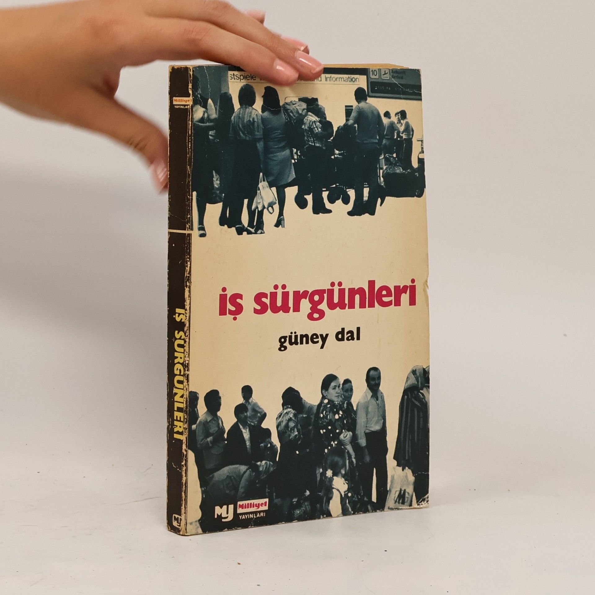 Güney Dal İş sürgünleri