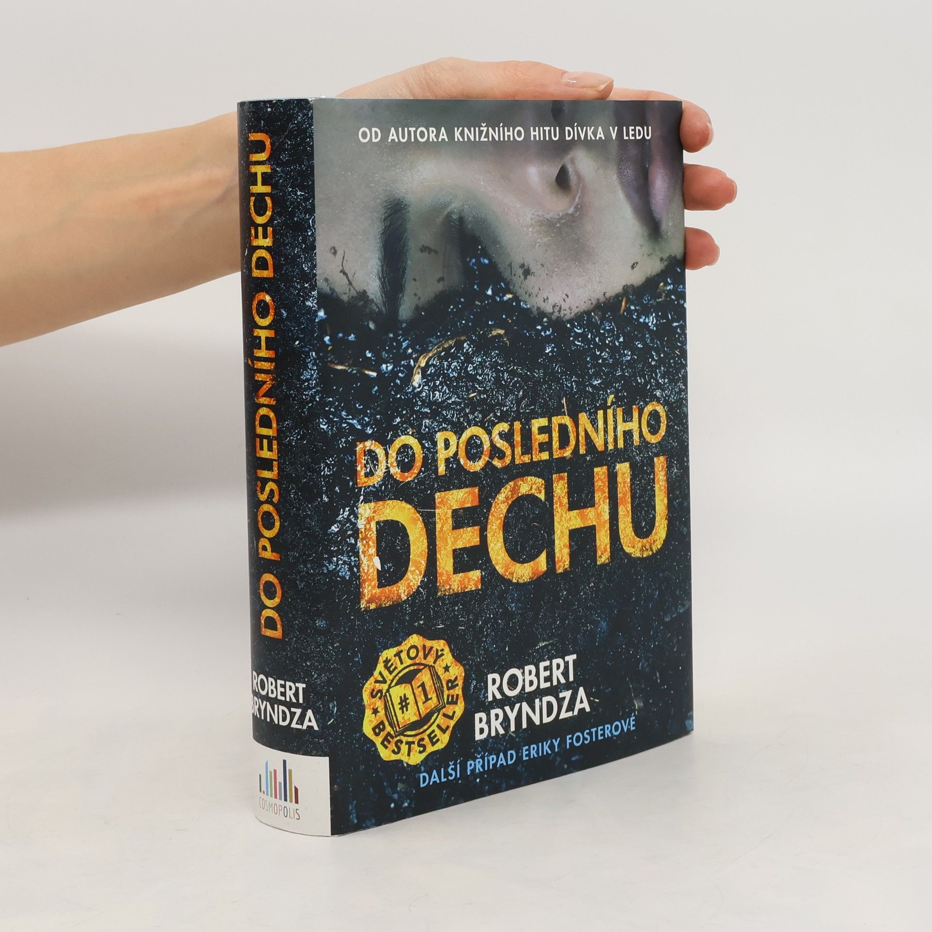 Robert Bryndza Do posledního dechu. Další případ Eriky Fosterové
