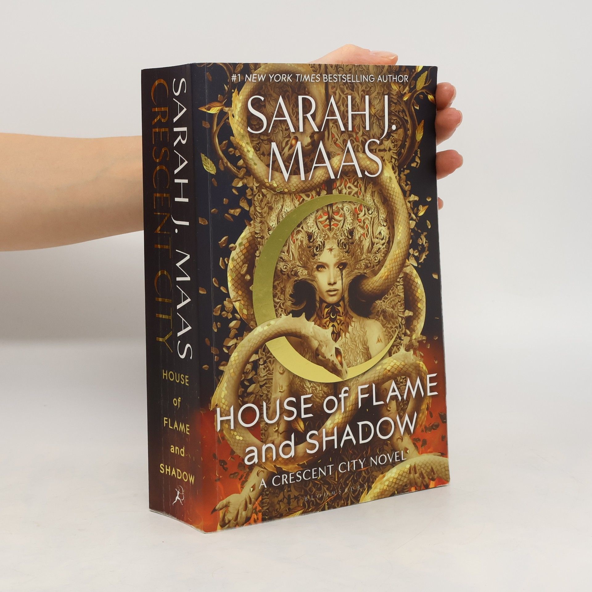 Sarah J. Maas House of Flame and Shadow