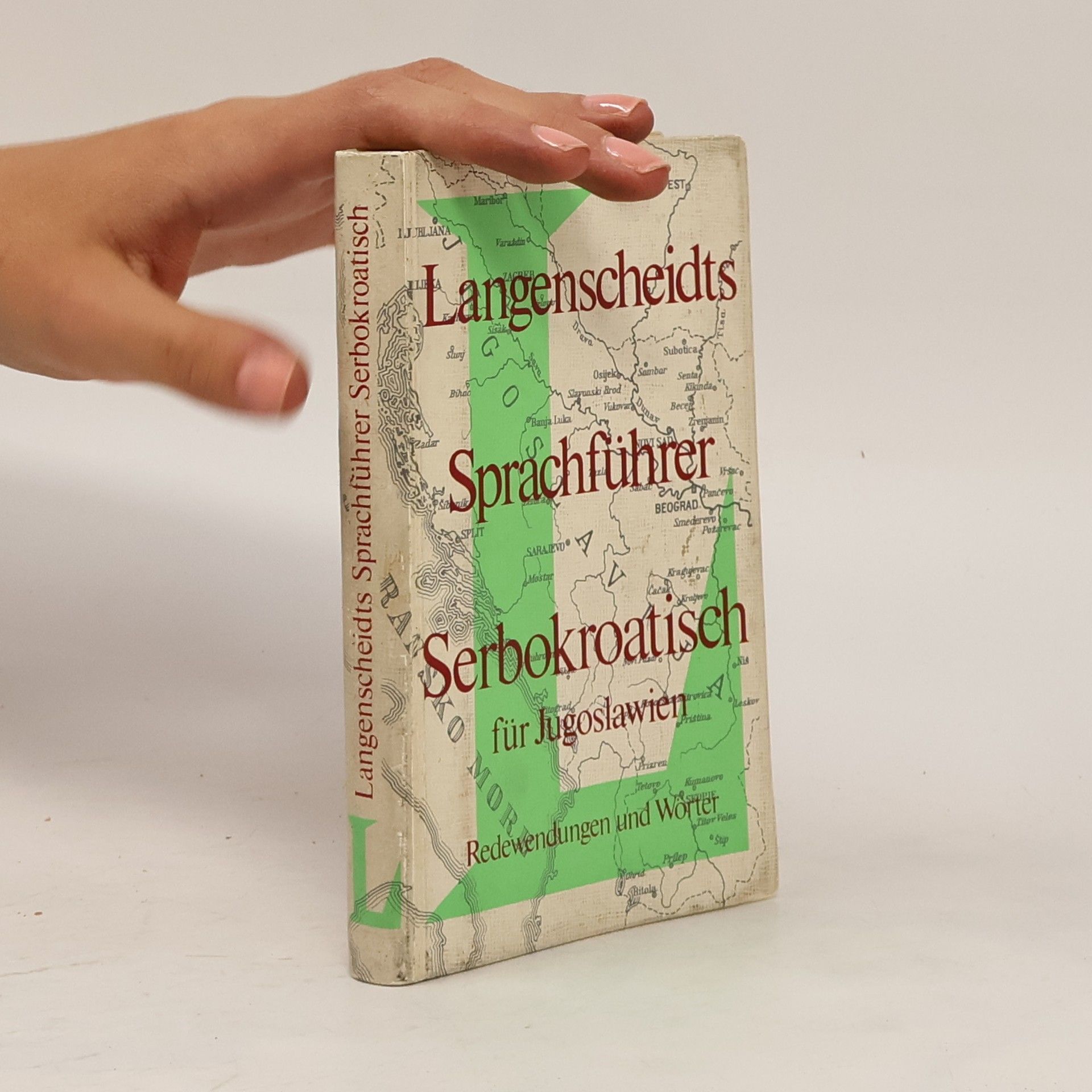 AA.VV. Langenscheidts Sprachführer