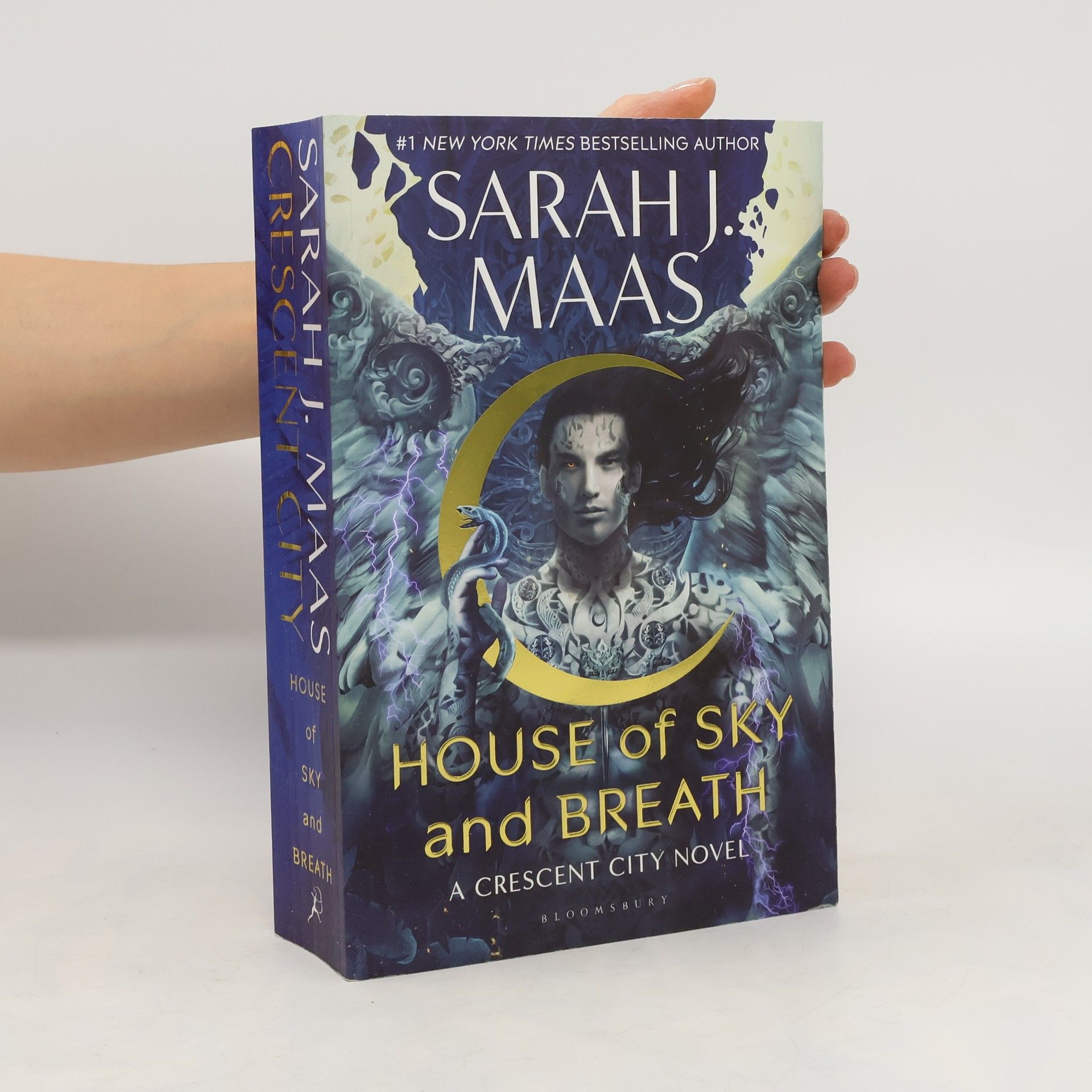 Sarah J. Maas House of sky and breath