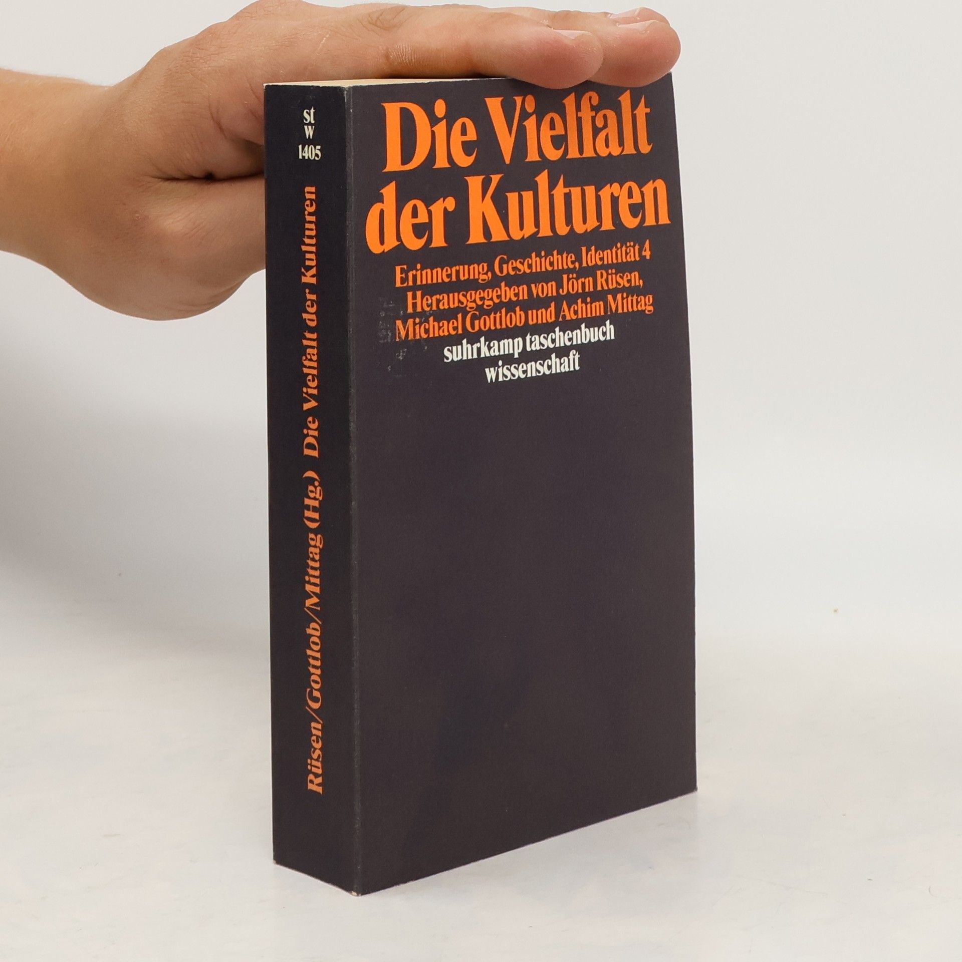 Jörn Rüsen Die Vielfalt der Kulturen
