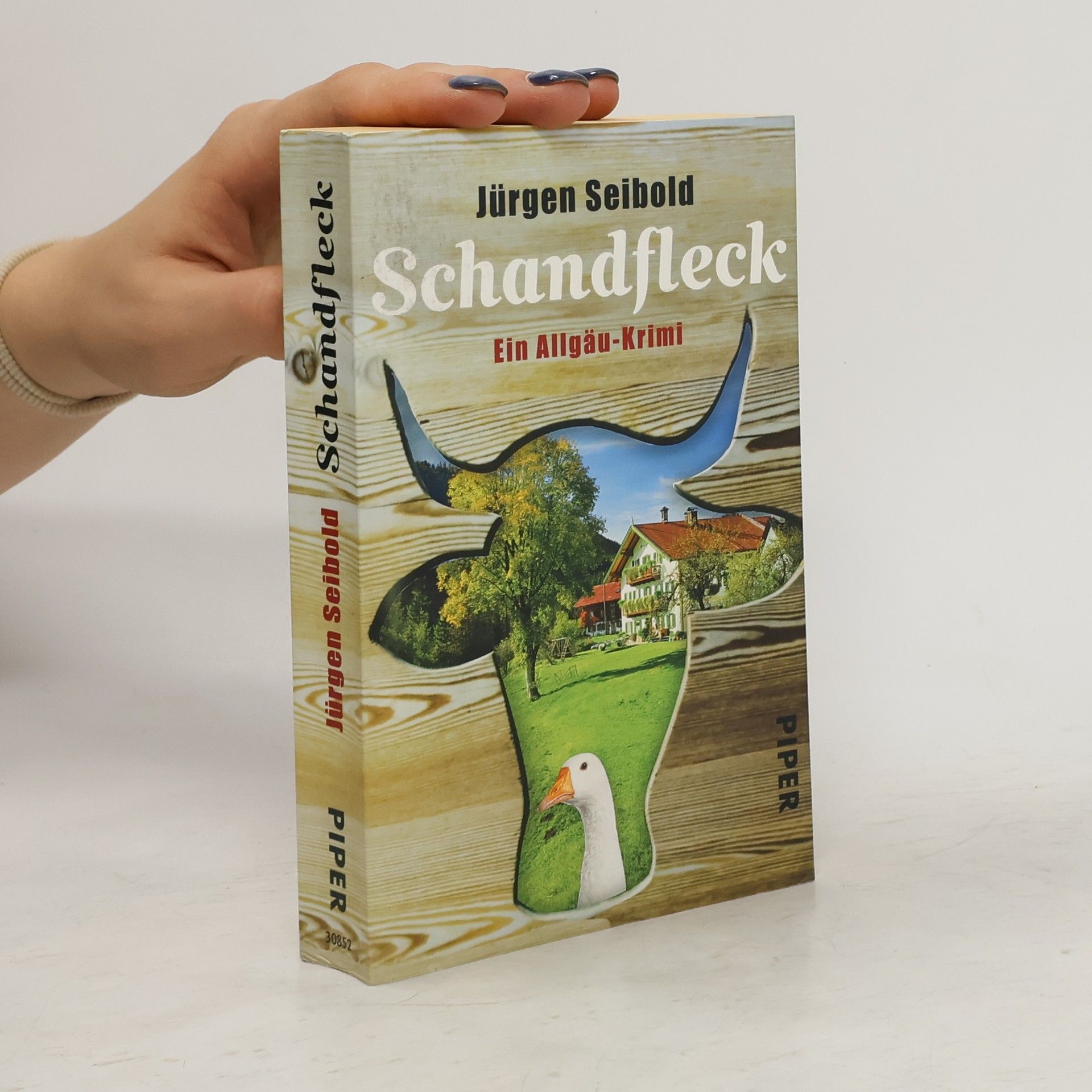 Jürgen Seibold Schandfleck