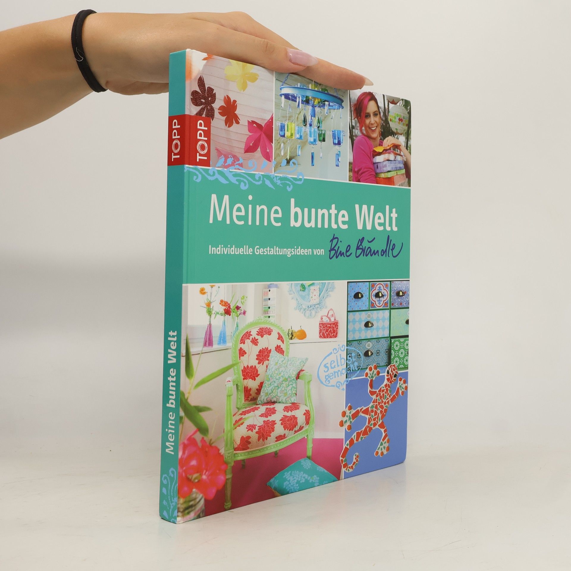 Bine Brändle Meine bunte Welt