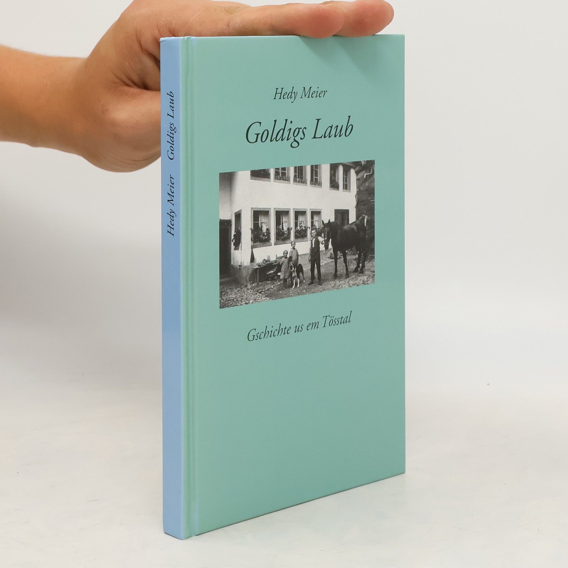 Hedy Meier Goldigs Laub