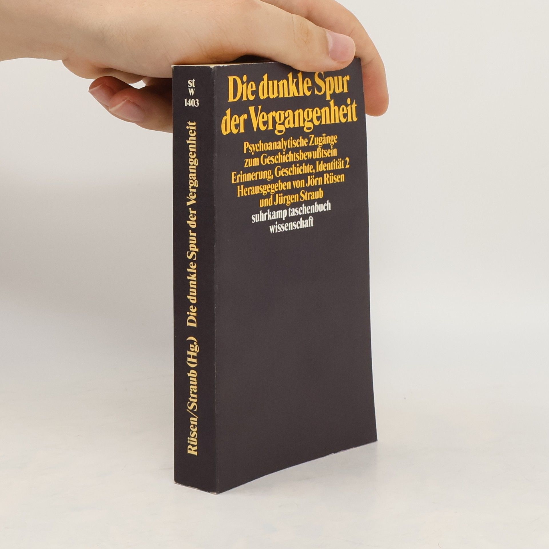 Jörn Rüsen Die dunkle Spur der Vergangenheit