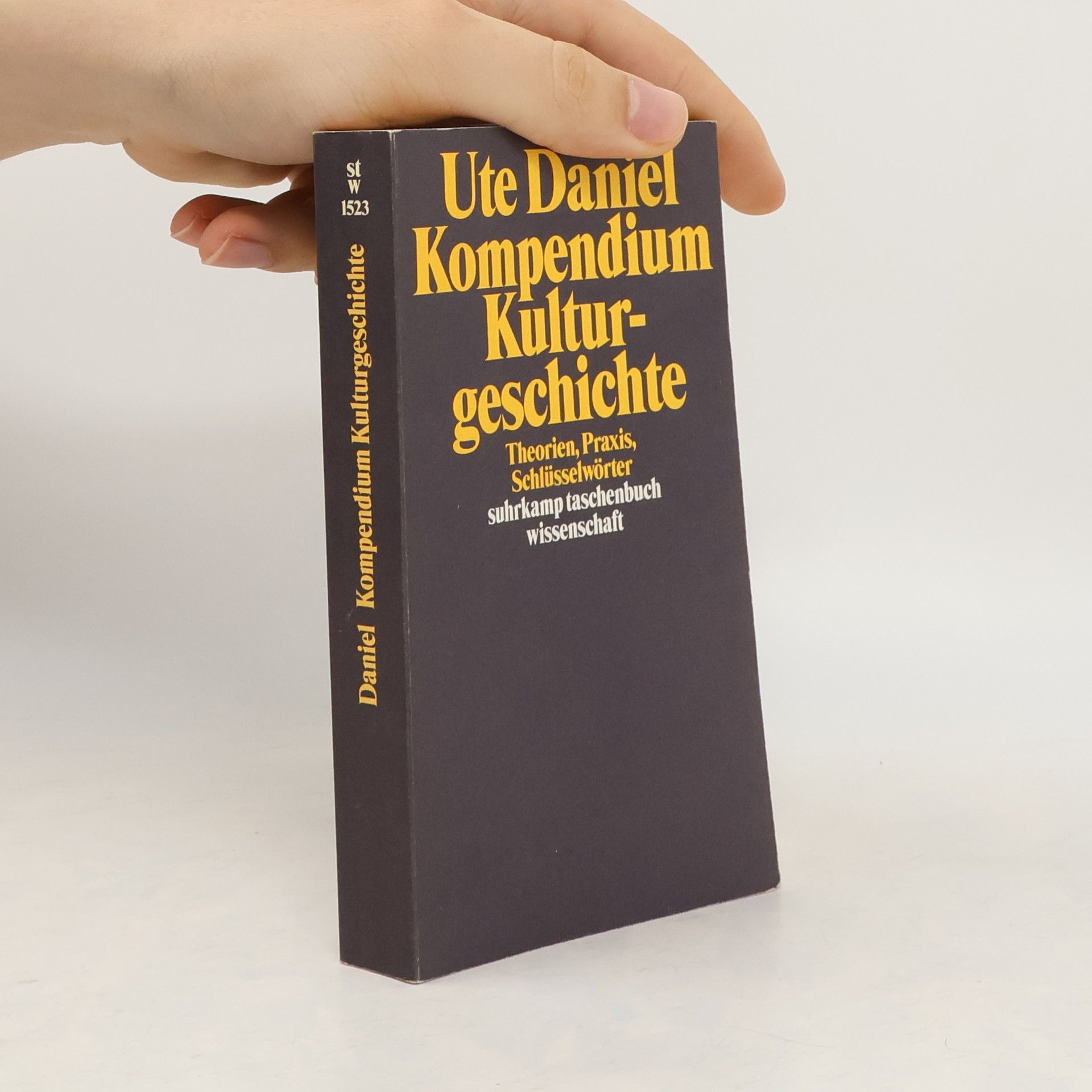 Ute Daniel Kompendium Kulturgeschichte
