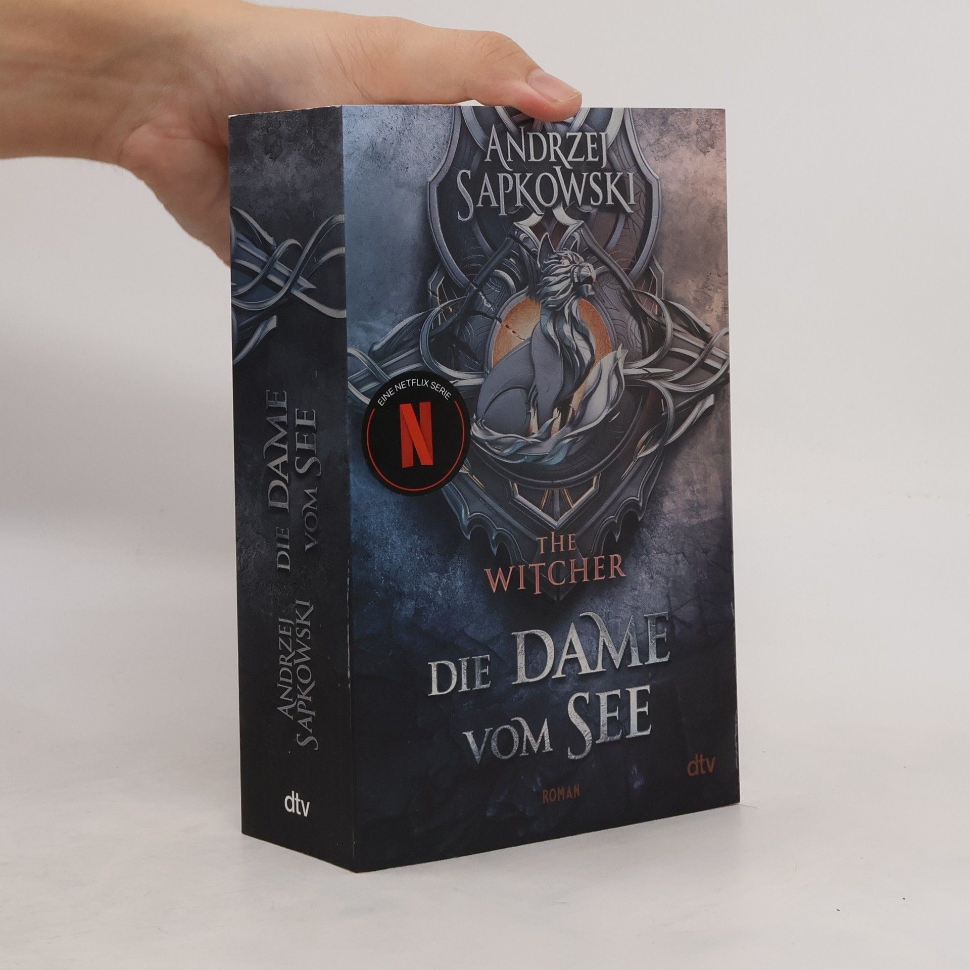 Andrzej Sapkowski Die Dame vom See