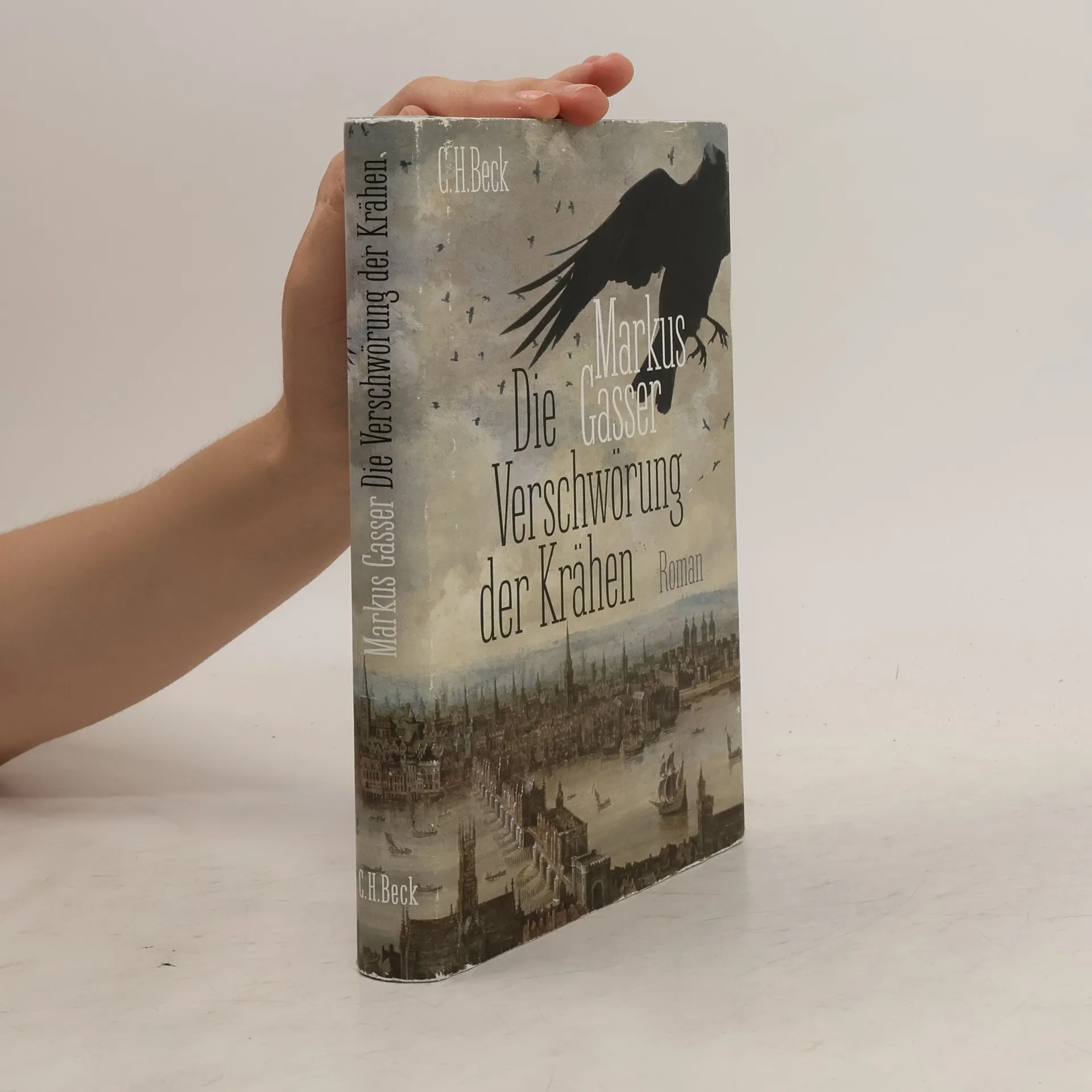 Die Verschwörung der Krähen | Markus Gasser | German | Book