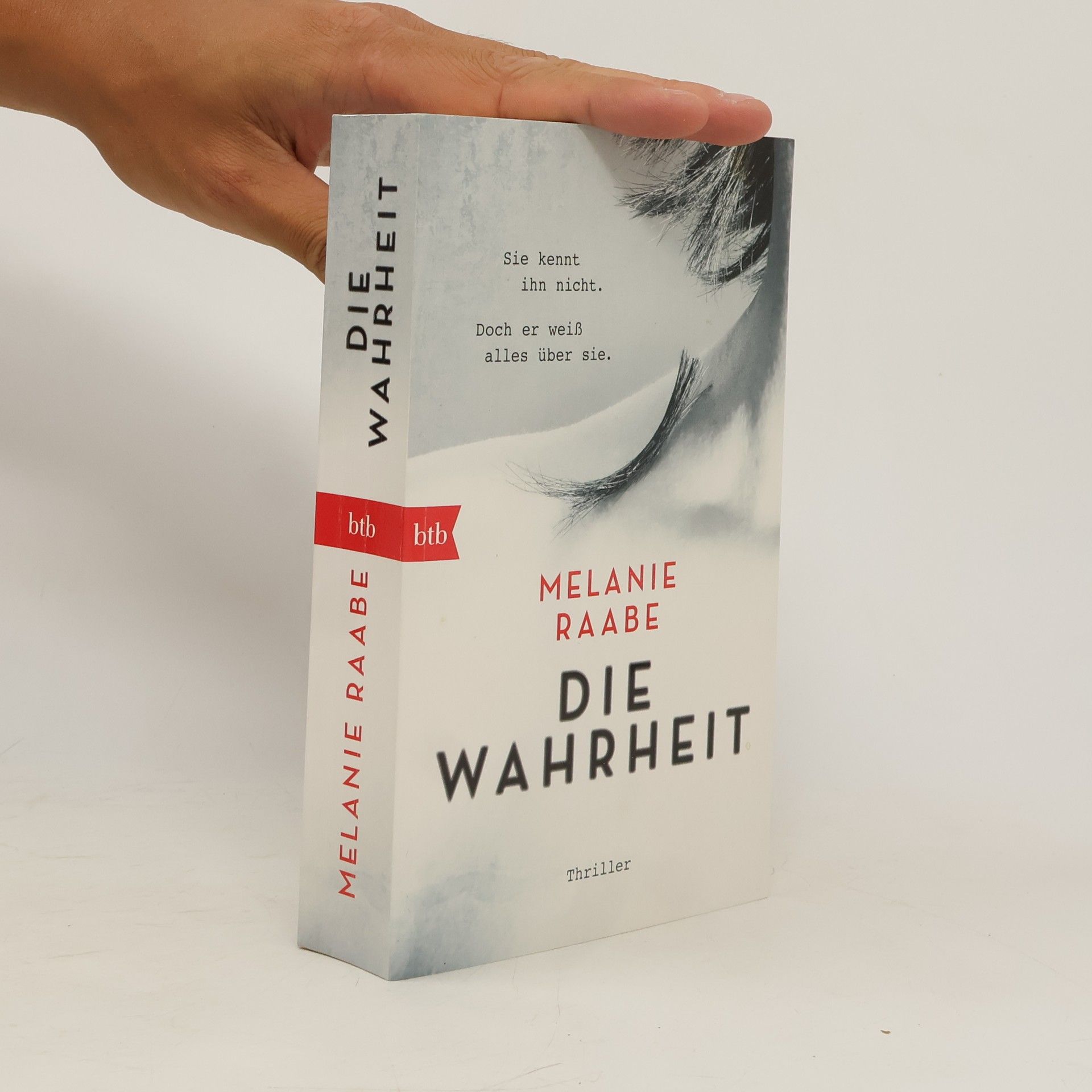 Melanie Raabe Die Wahrheit