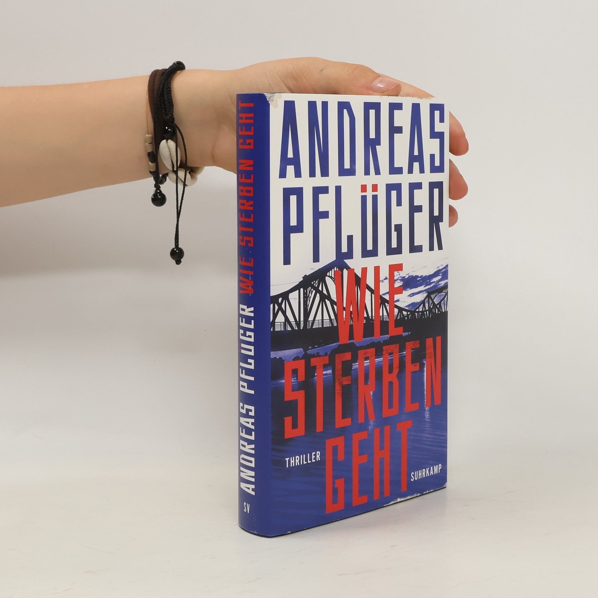 Andreas Pflüger Wie Sterben geht