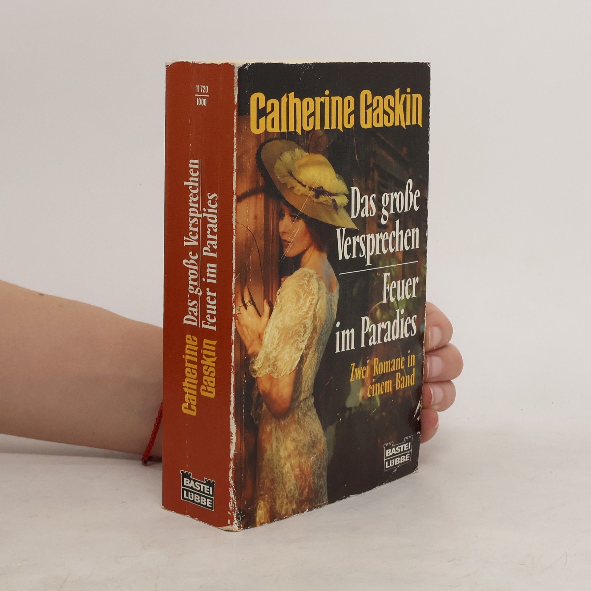 Catherine Gaskin Das Große Versprechen. Feuer Im Paradies