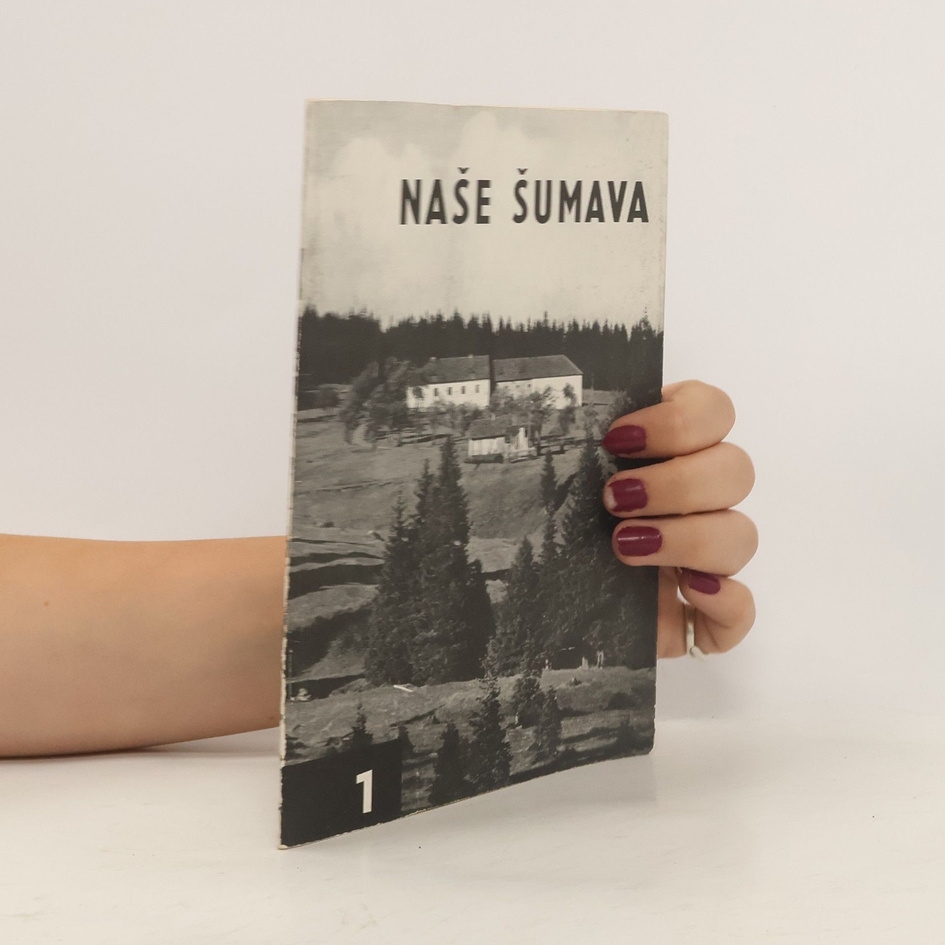 Collectif d'auteurs Naše Šumava 1