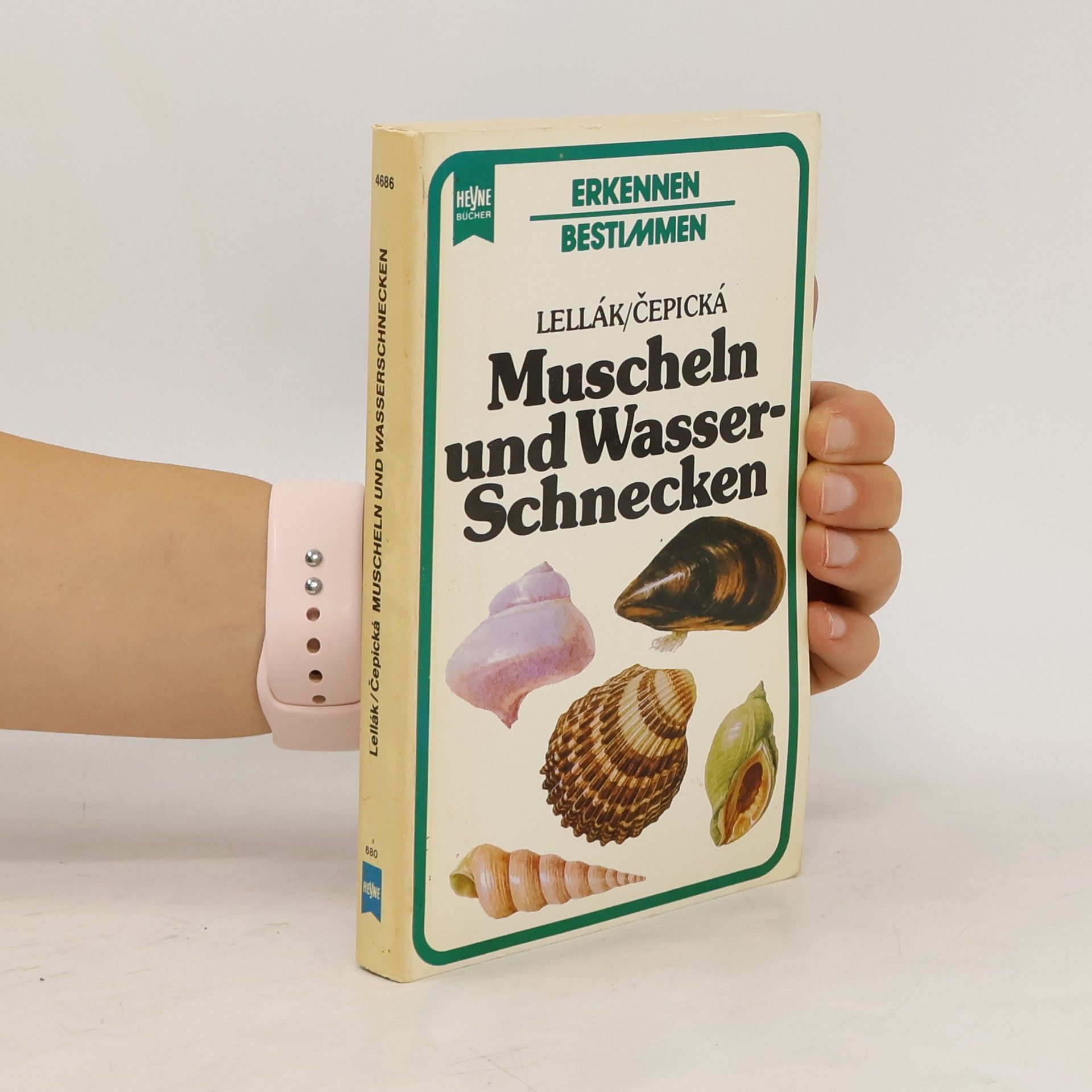 Jan Lellák Muscheln und Wasser-Schnecken