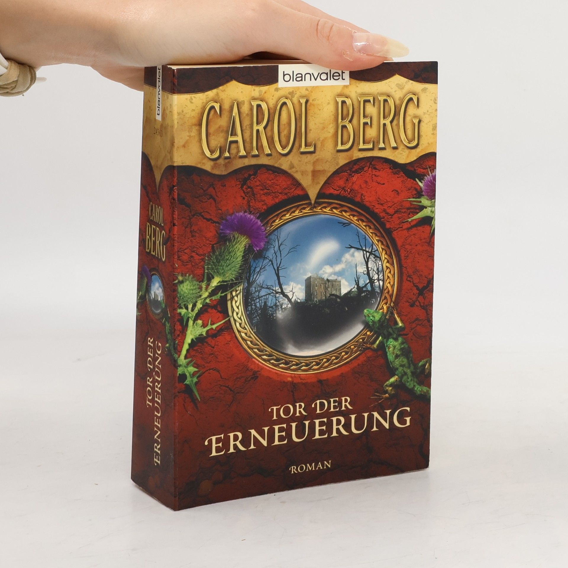 Carol Berg Tor der Erneuerung