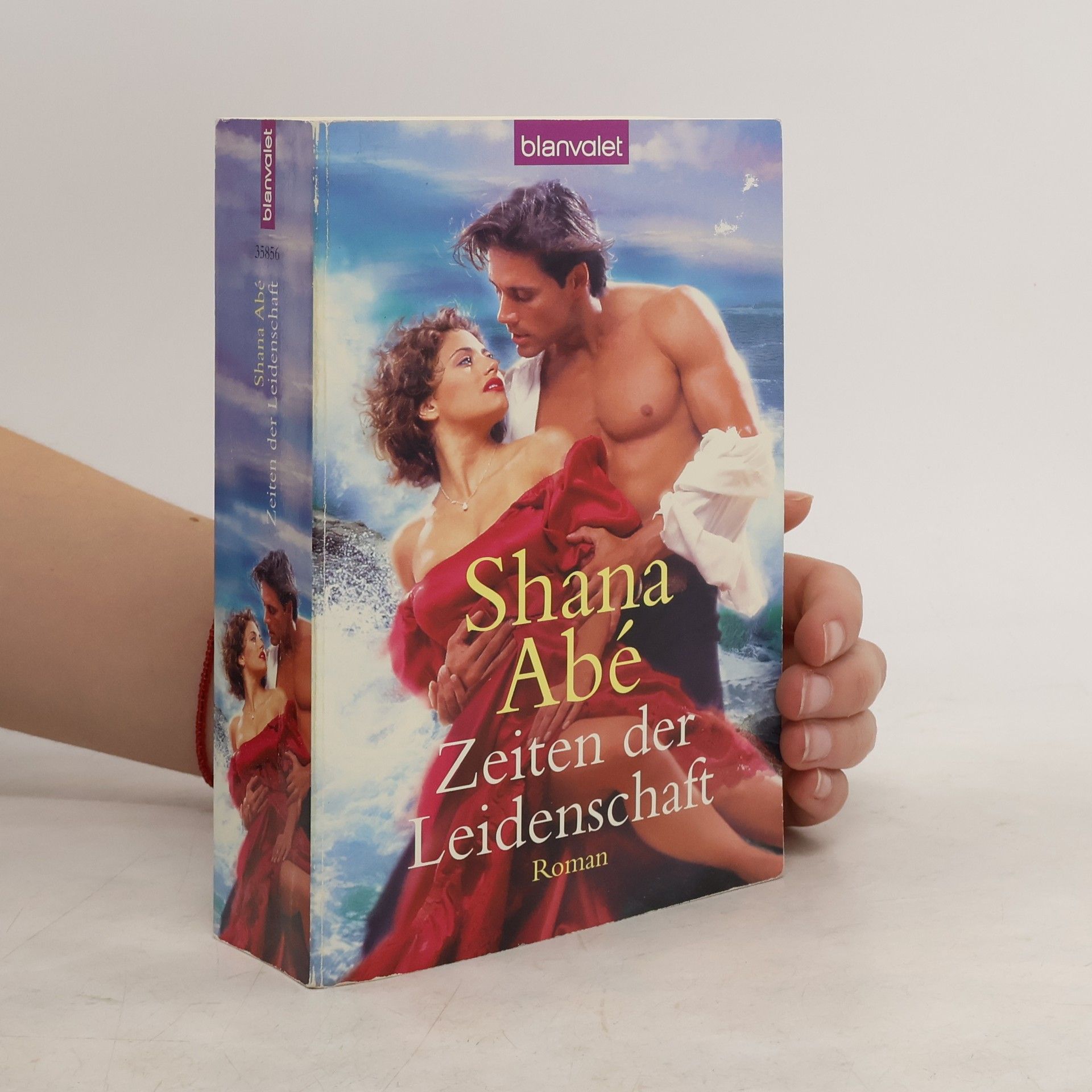 Shana Abé Zeiten der Leidenschaft