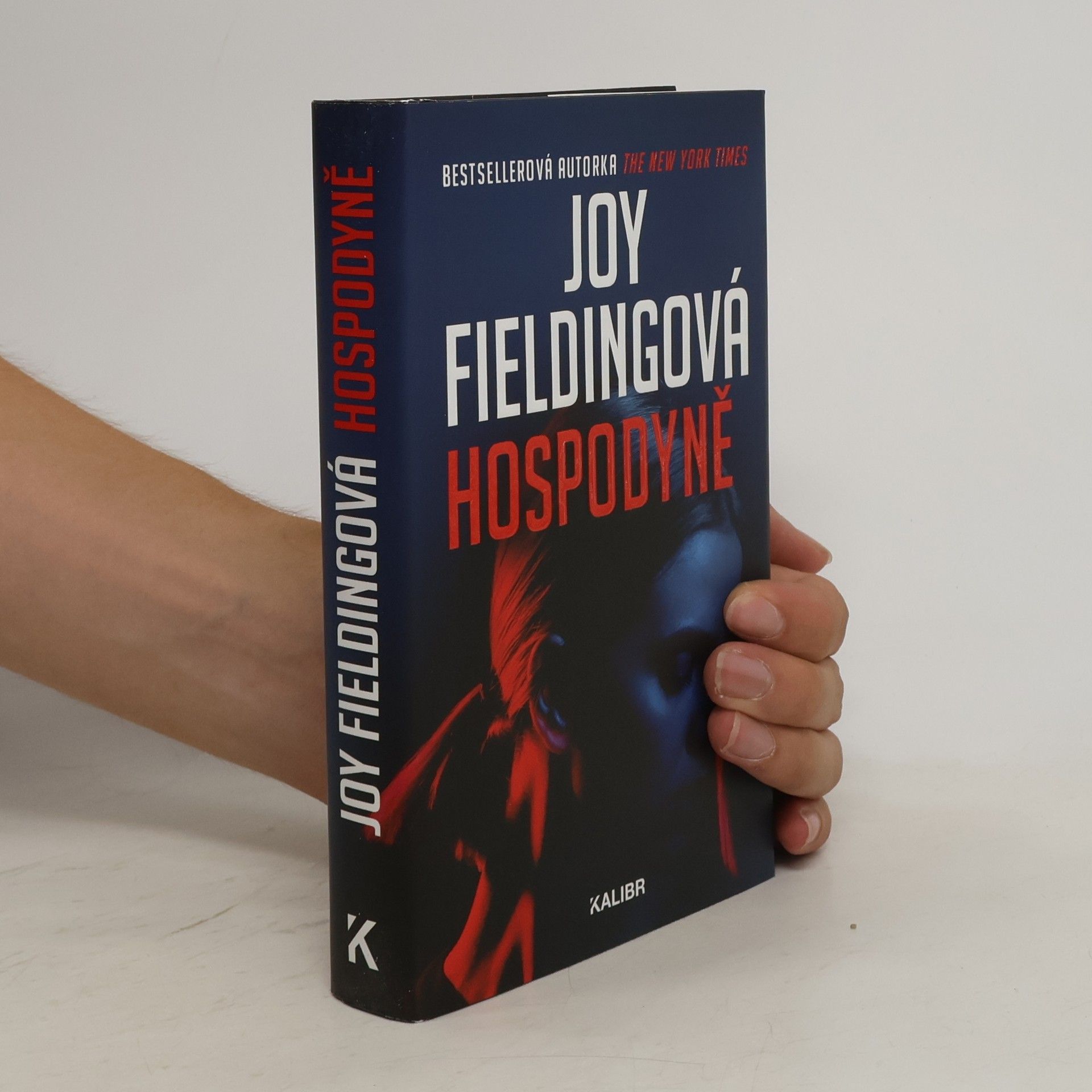 Joy Fielding Hospodyně