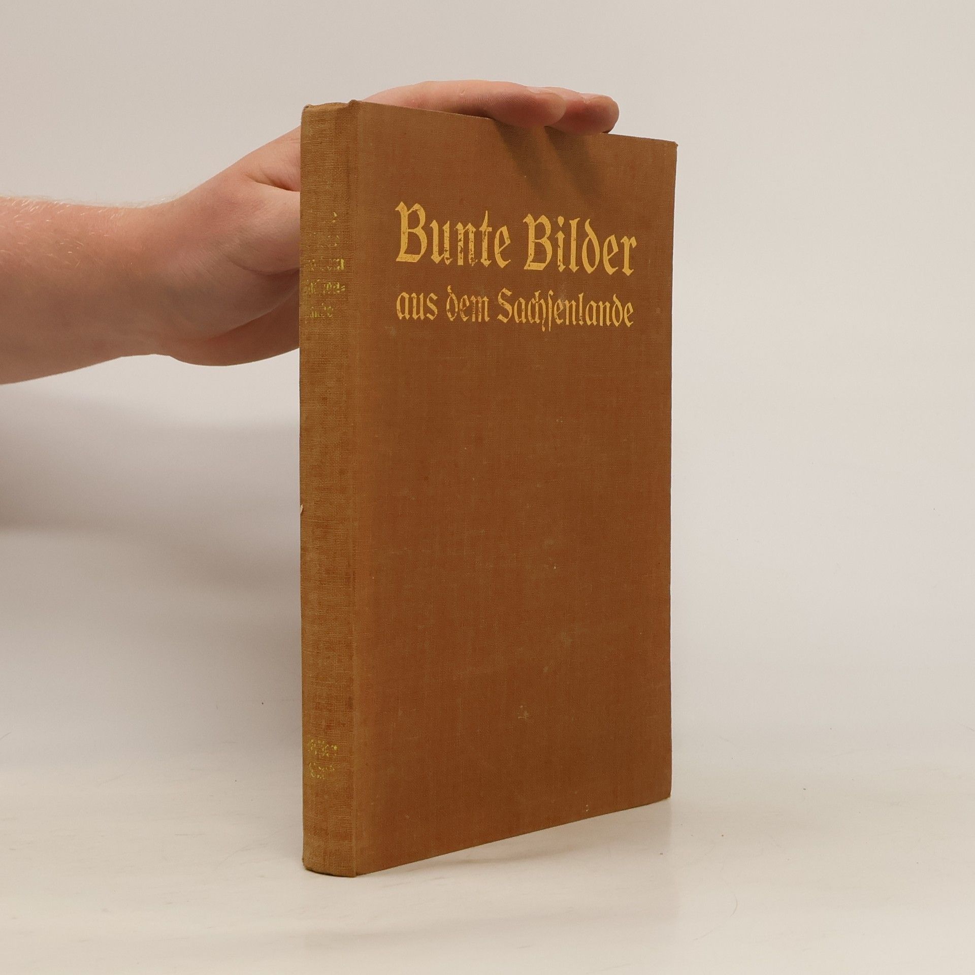 kolektiv Bunte Bilder aus dem Sachsenlande 1