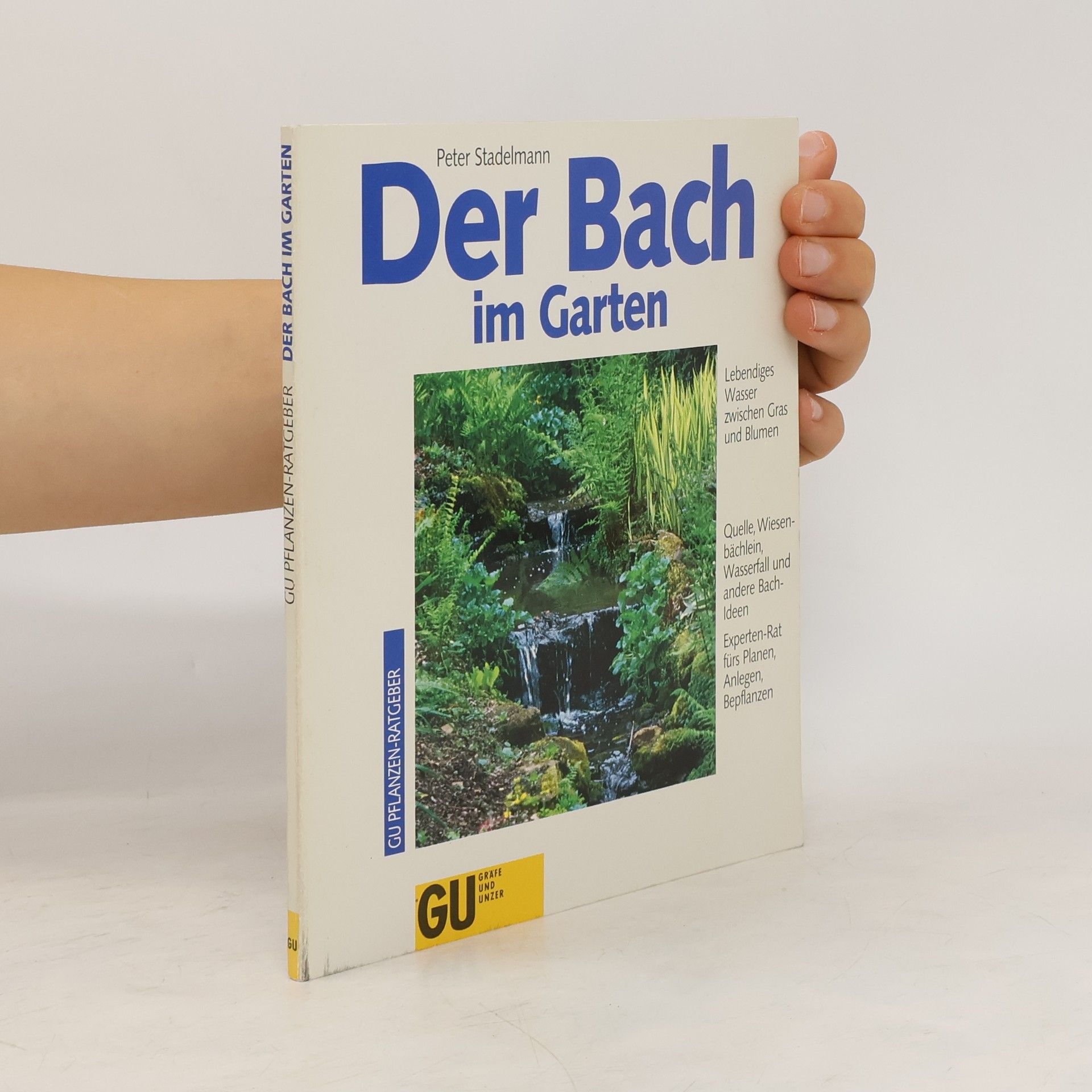 Peter Stademann Der Bach im Garten