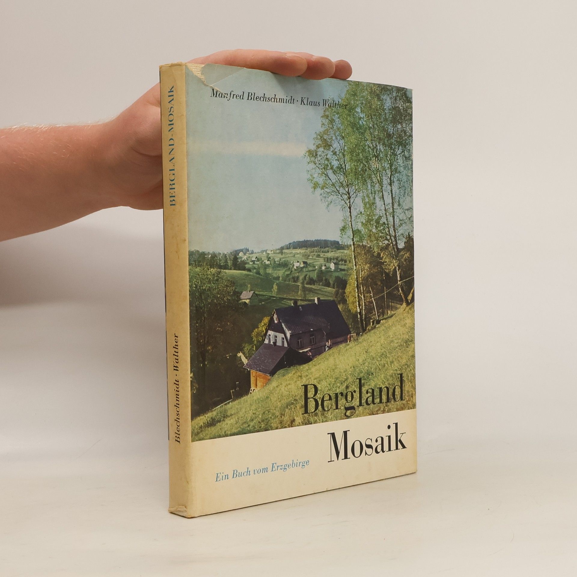 Autorenkollektiv Bergland Mosaik